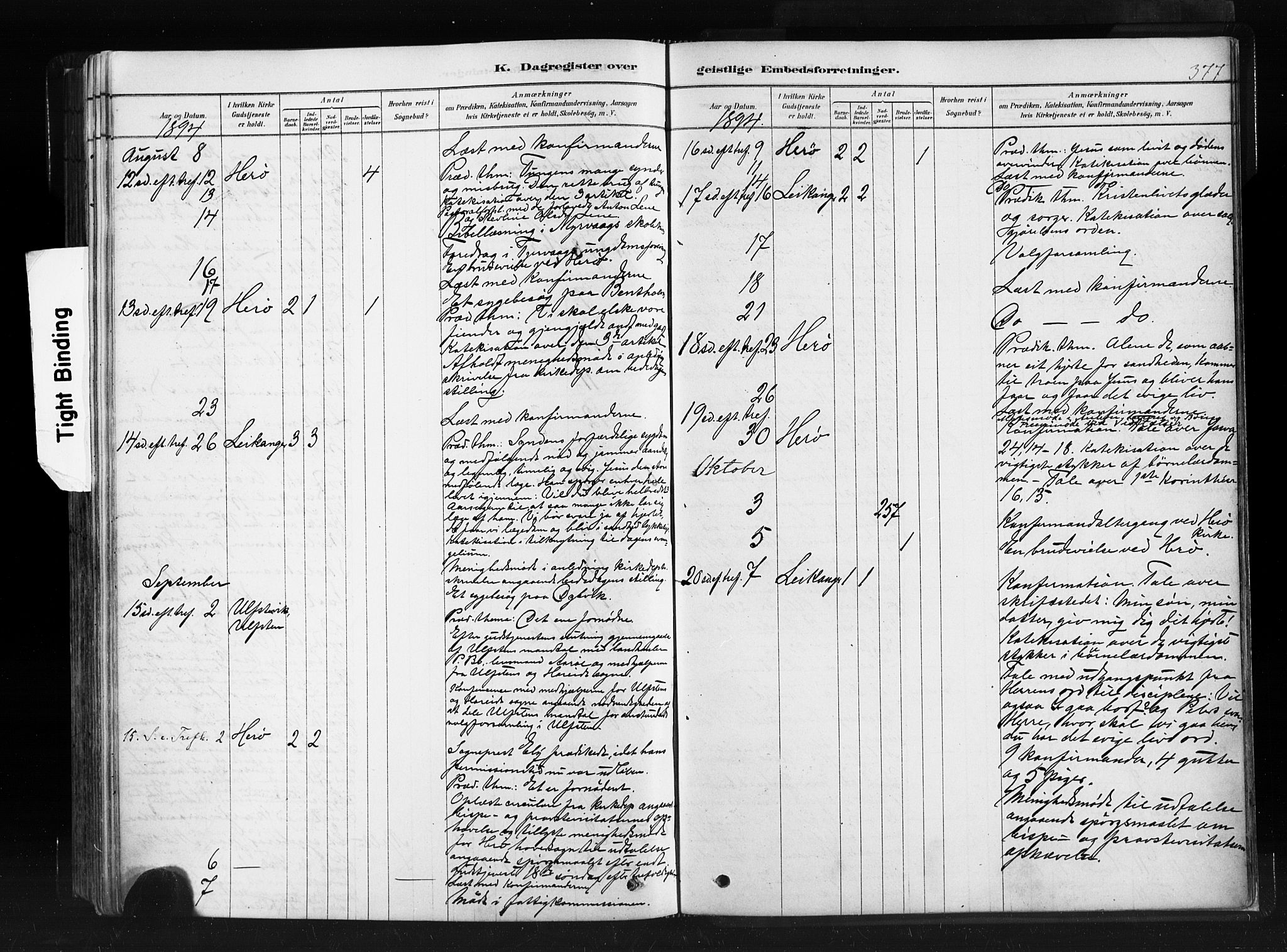 Ministerialprotokoller, klokkerbøker og fødselsregistre - Møre og Romsdal, AV/SAT-A-1454/507/L0073: Parish register (official) no. 507A08, 1878-1904, p. 377