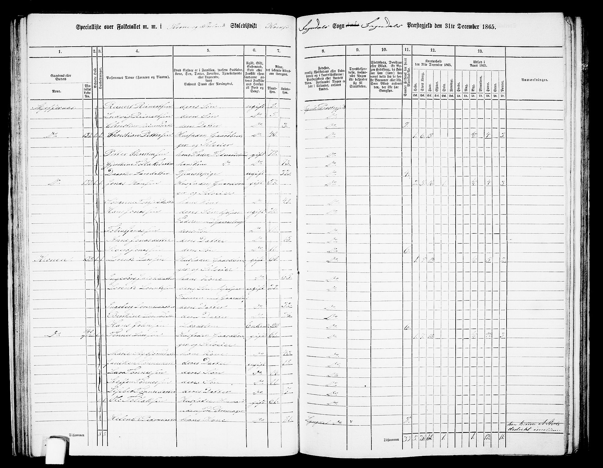 RA, 1865 census for Sokndal, 1865, p. 49