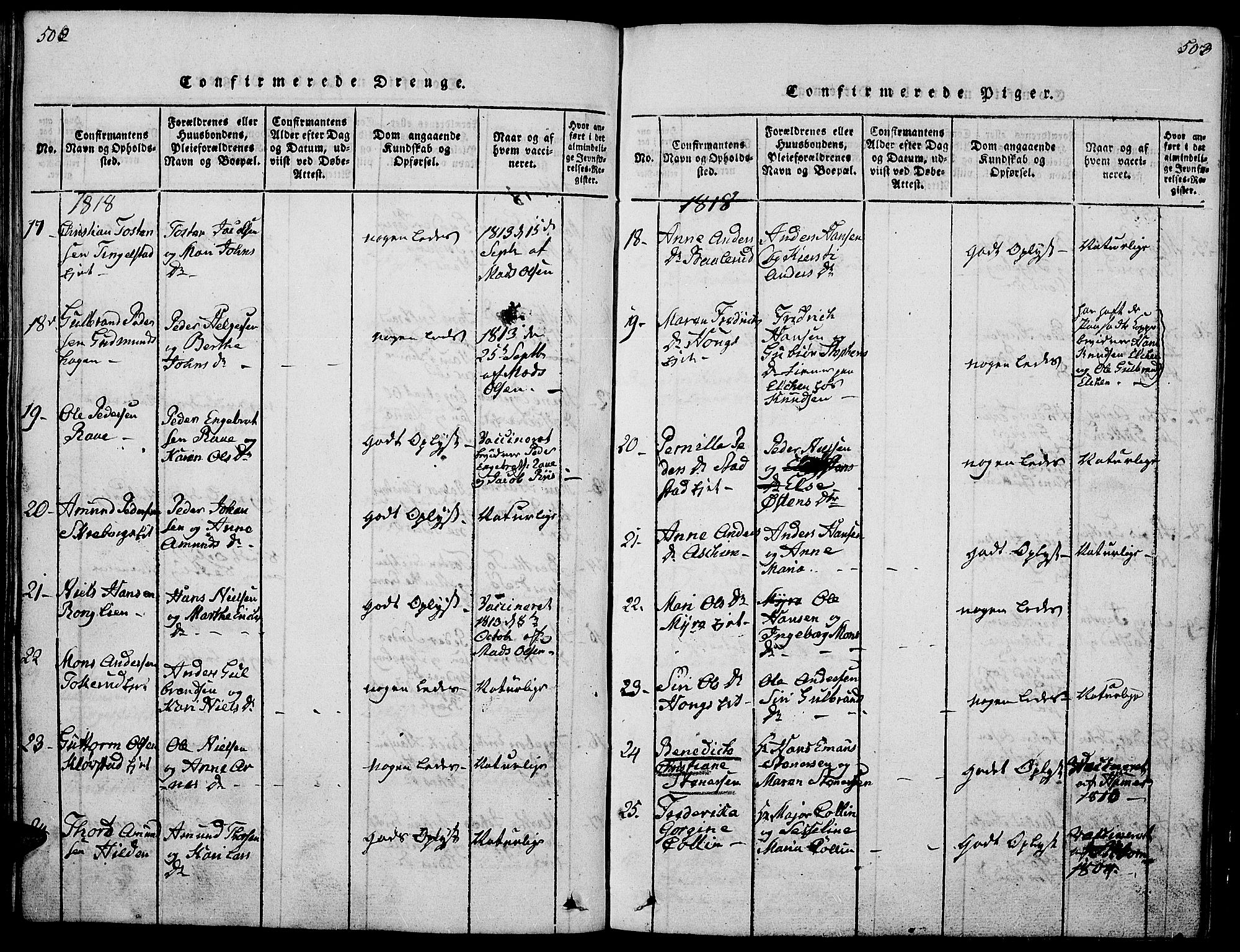 Gran prestekontor, AV/SAH-PREST-112/H/Ha/Hab/L0001: Parish register (copy) no. 1, 1815-1824, p. 502-503