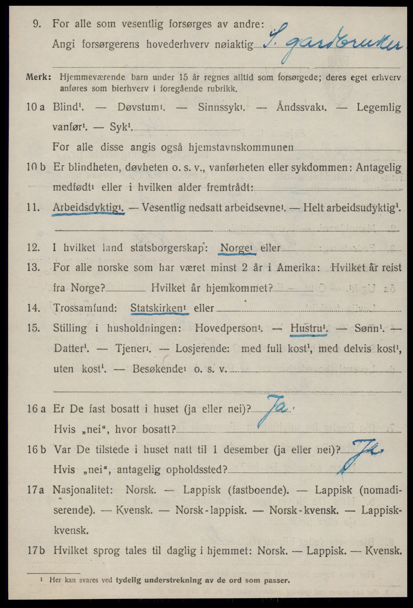 SAT, 1920 census for Haltdalen, 1920, p. 367