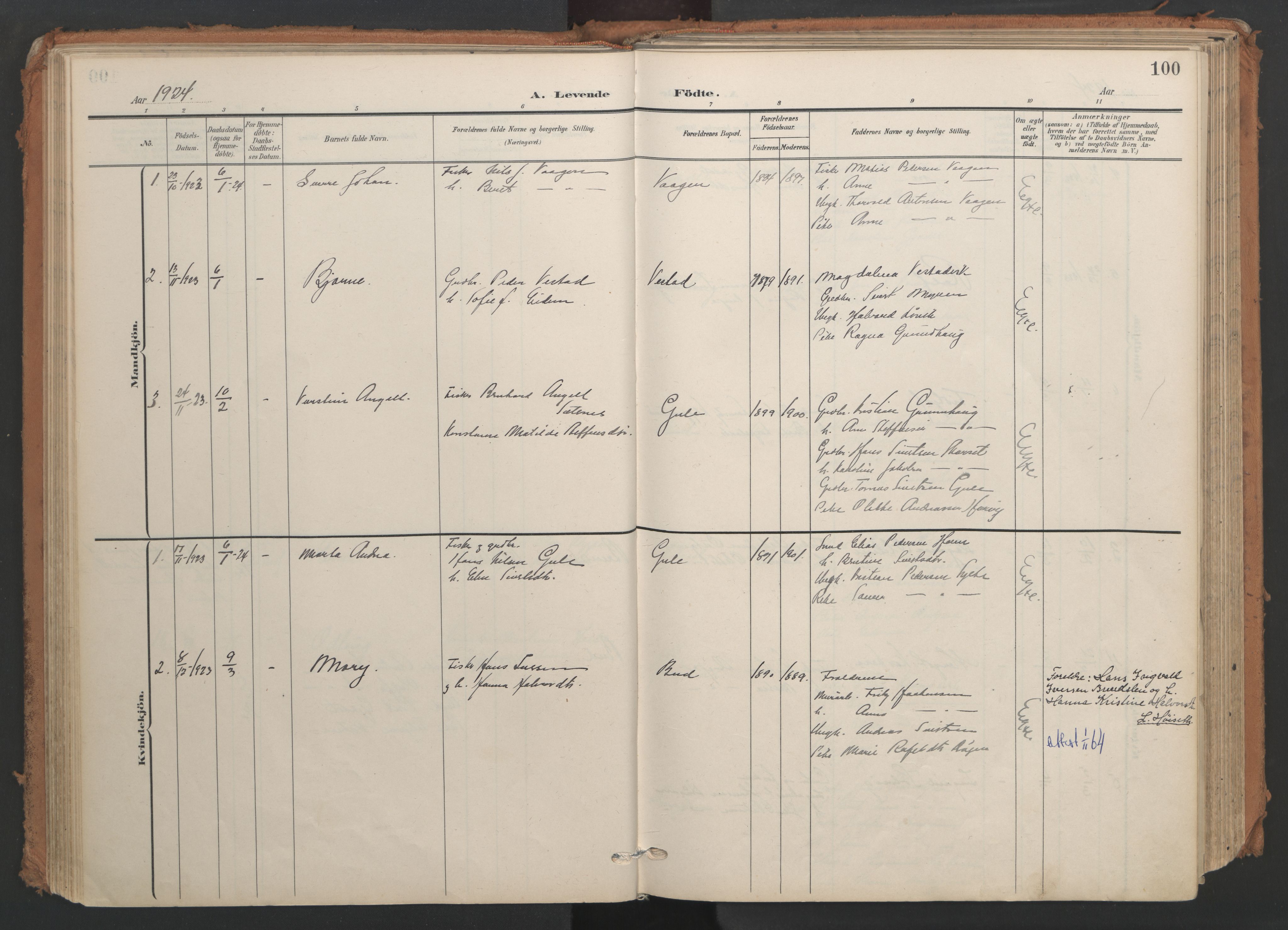 Ministerialprotokoller, klokkerbøker og fødselsregistre - Møre og Romsdal, AV/SAT-A-1454/566/L0771: Parish register (official) no. 566A10, 1904-1929, p. 100
