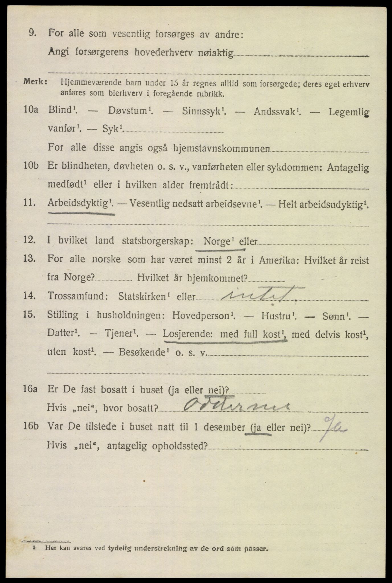 SAK, 1920 census for Hornnes, 1920, p. 3104