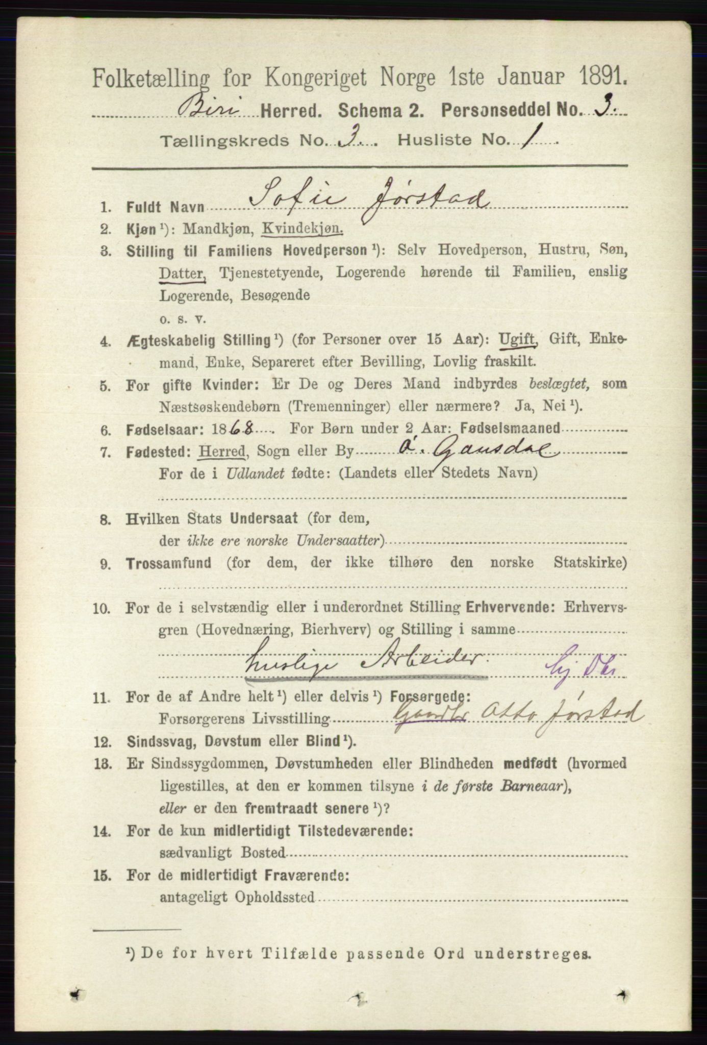 RA, 1891 census for 0525 Biri, 1891, p. 905