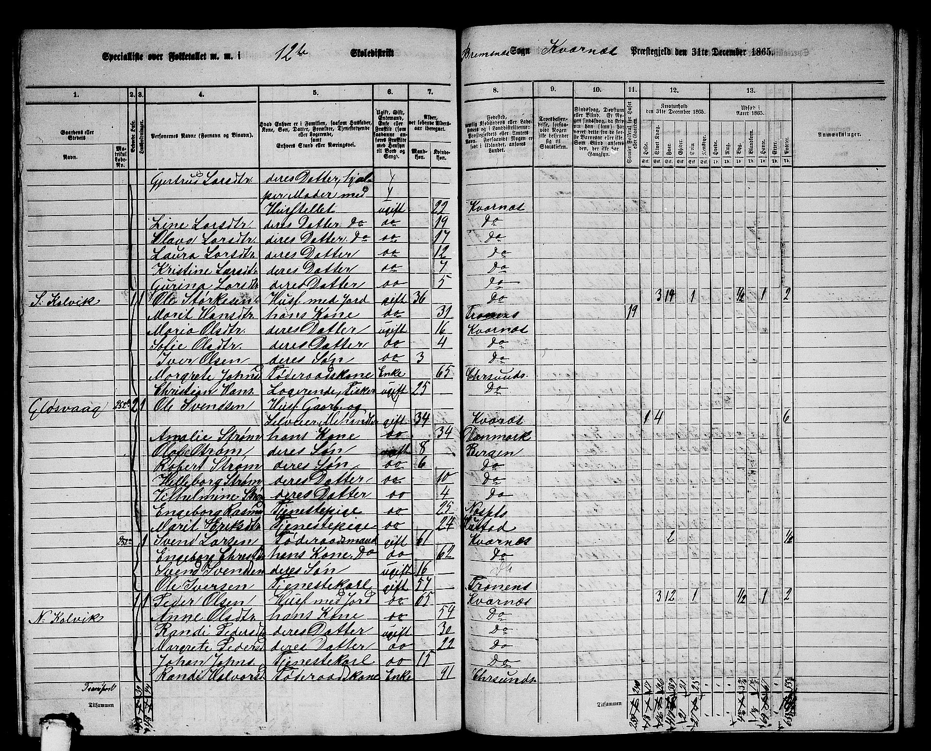 RA, 1865 census for Kvernes, 1865, p. 224