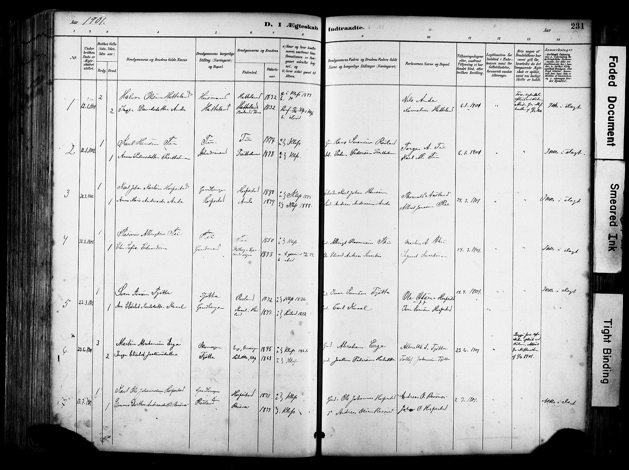 Klepp sokneprestkontor, AV/SAST-A-101803/001/3/30BA/L0009: Parish register (official) no. A 7, 1886-1915, p. 231