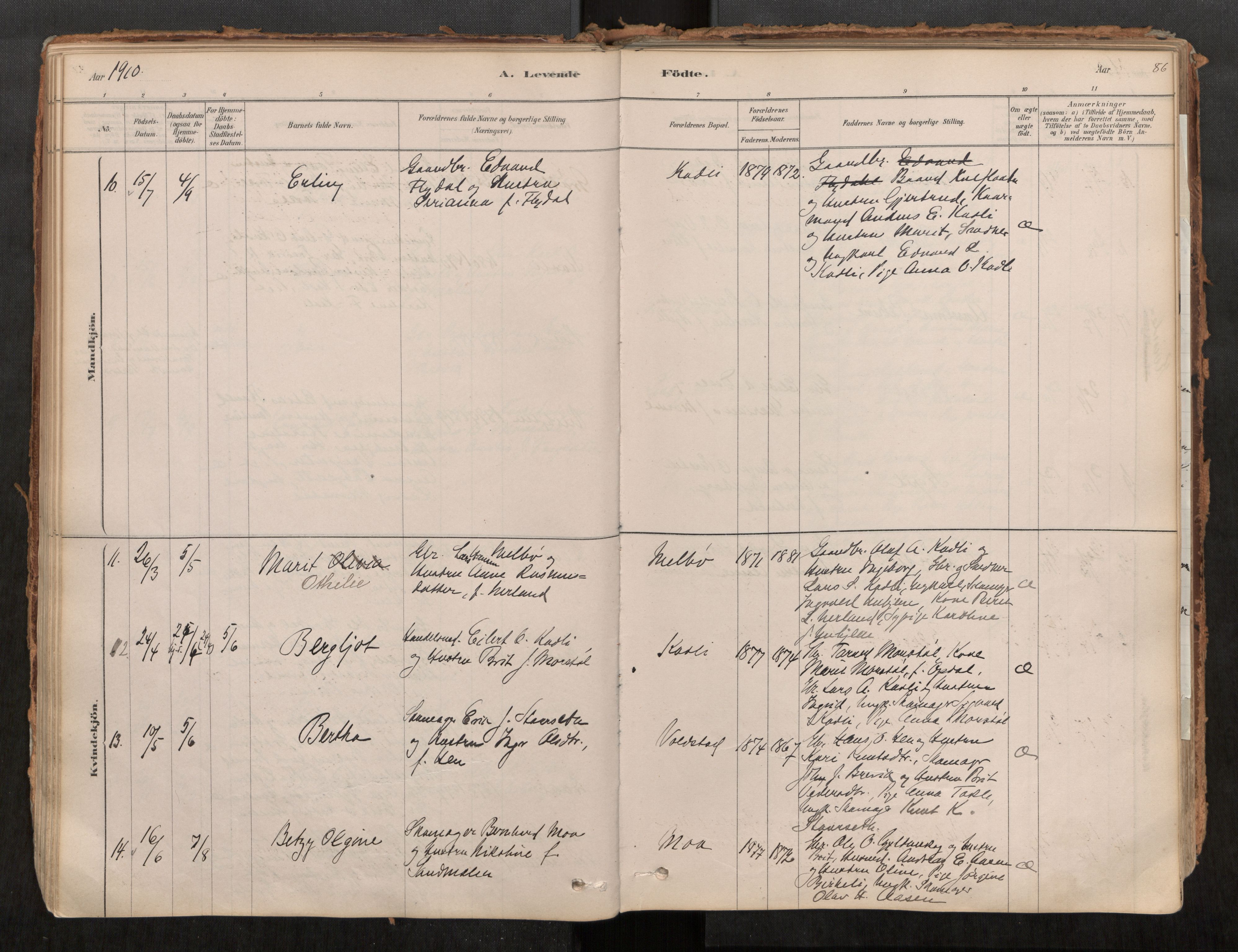 Ministerialprotokoller, klokkerbøker og fødselsregistre - Møre og Romsdal, AV/SAT-A-1454/545/L0594: Parish register (official) no. 545A03, 1878-1920, p. 86