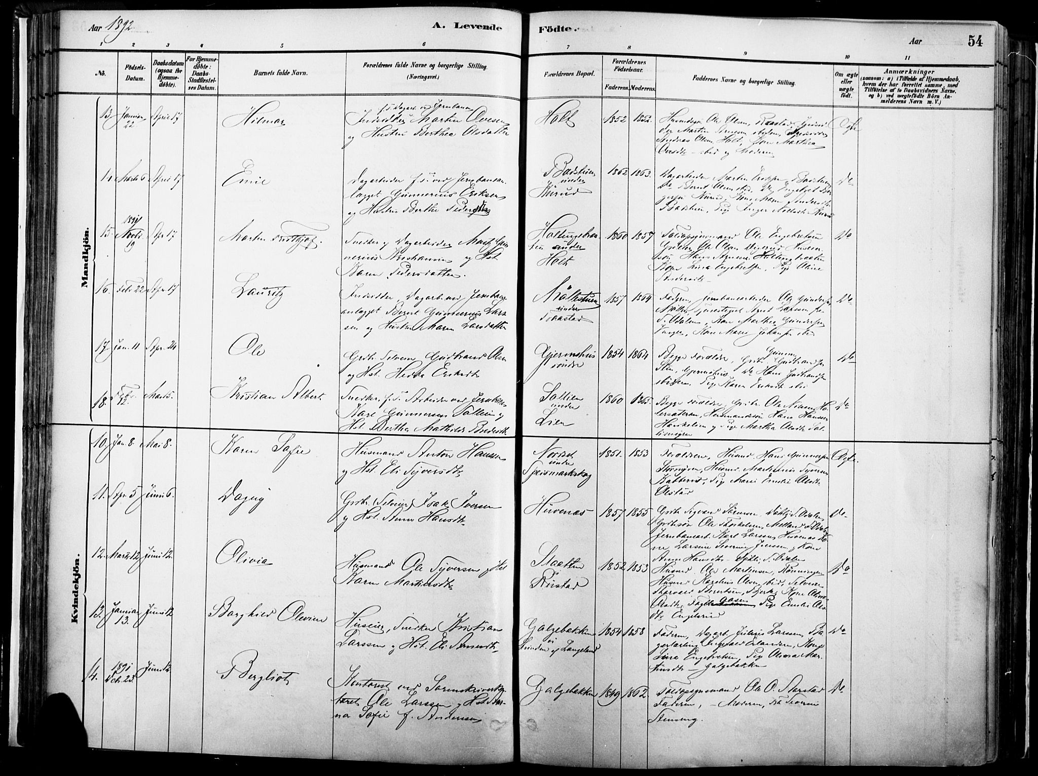 Vinger prestekontor, AV/SAH-PREST-024/H/Ha/Haa/L0014: Parish register (official) no. 14, 1881-1900, p. 54