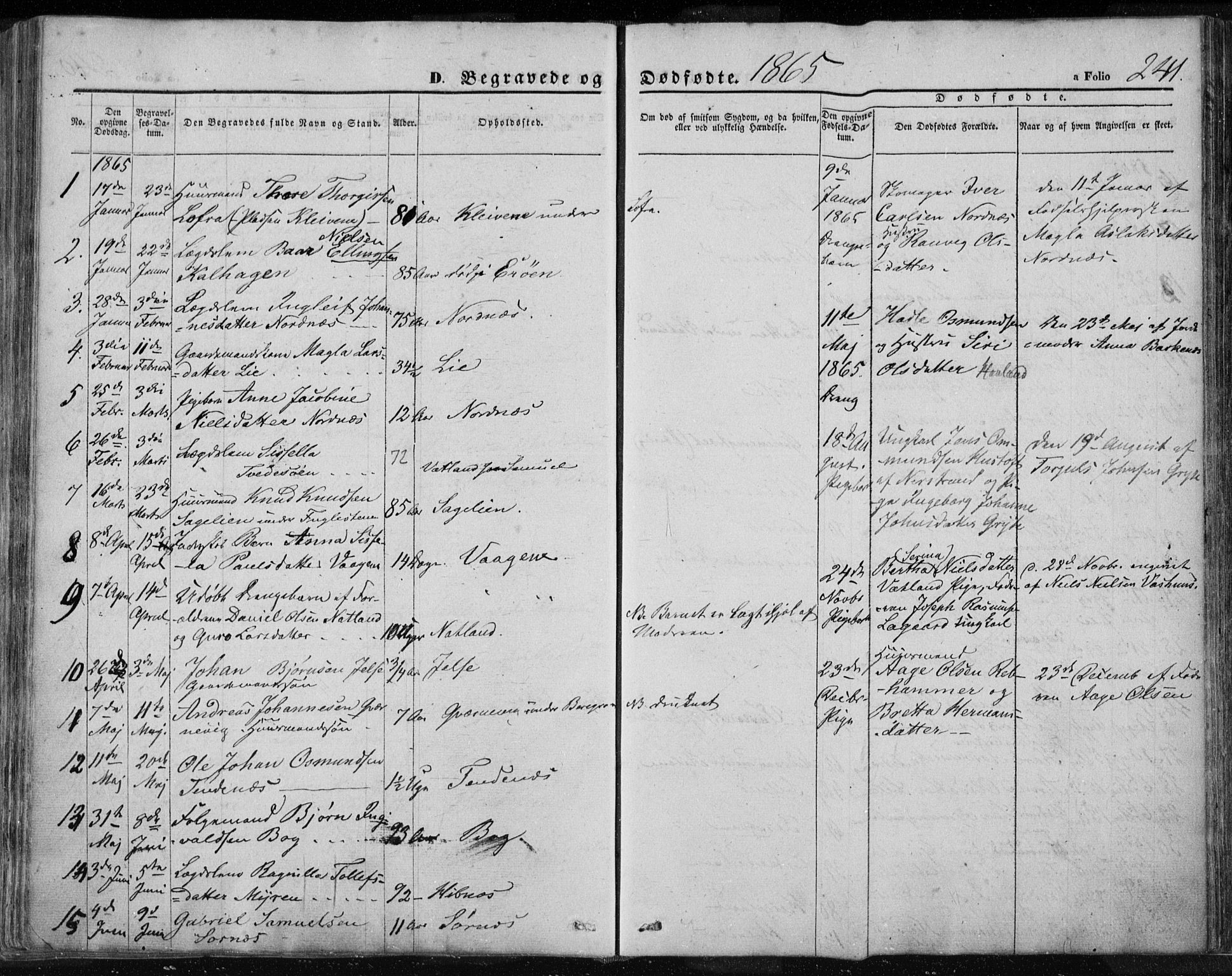 Jelsa sokneprestkontor, SAST/A-101842/01/IV: Parish register (official) no. A 7, 1854-1866, p. 241