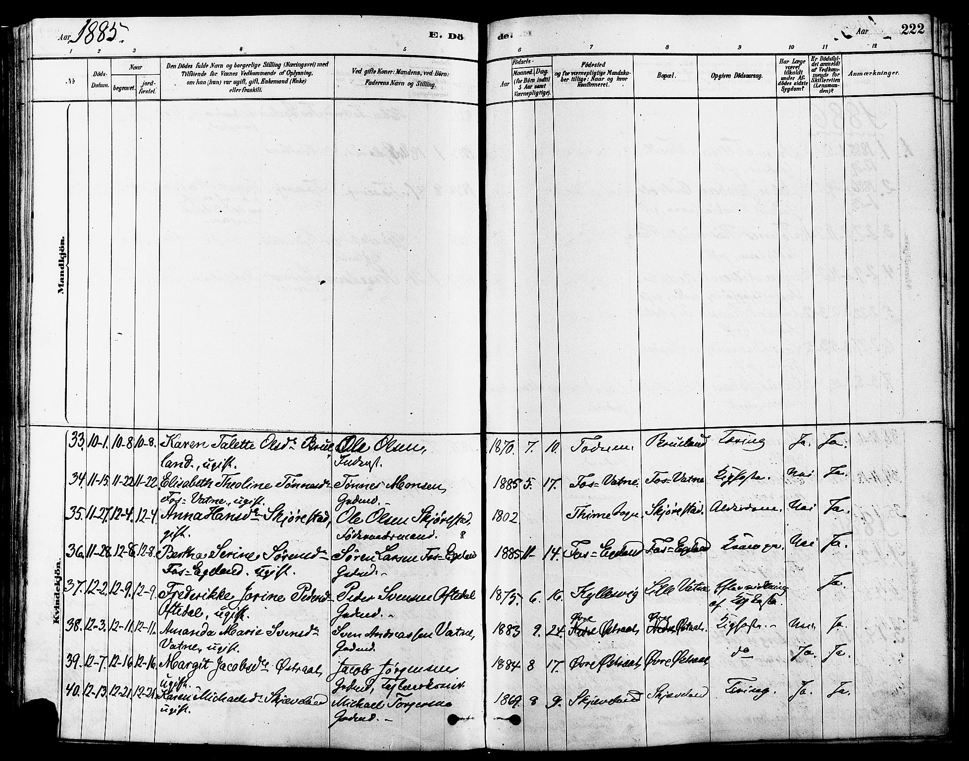 Høyland sokneprestkontor, SAST/A-101799/001/30BA/L0011: Parish register (official) no. A 10, 1878-1888, p. 222