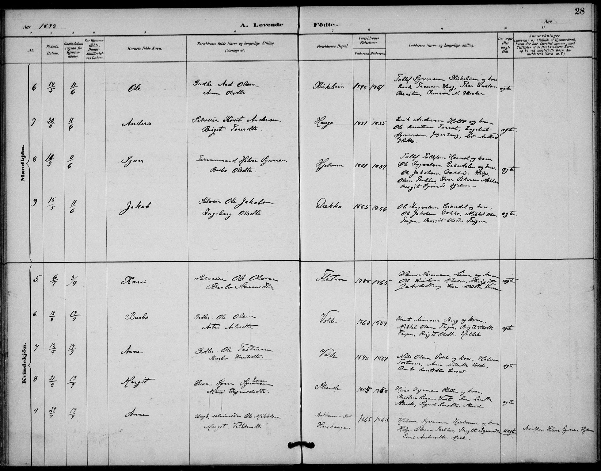 Gol kirkebøker, AV/SAKO-A-226/F/Fb/L0001: Parish register (official) no. II 1, 1887-1900, p. 28