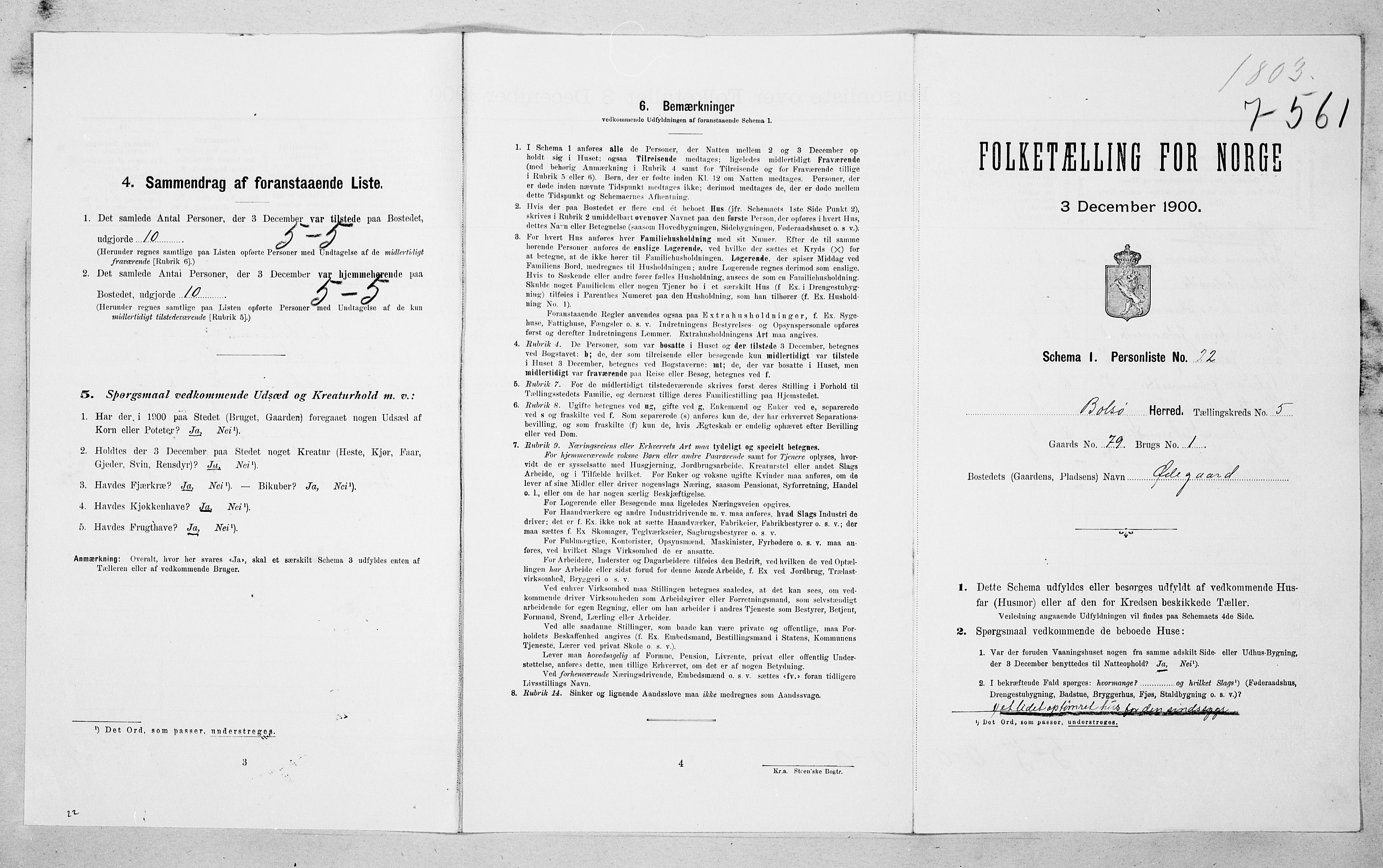 SAT, 1900 census for Bolsøy, 1900, p. 74