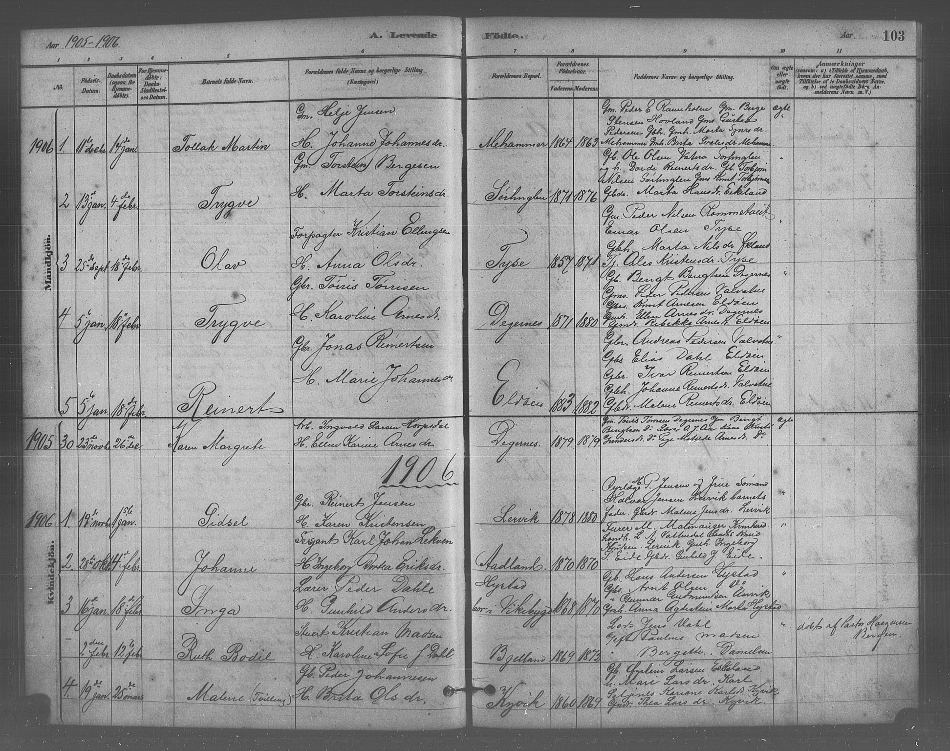 Stord sokneprestembete, SAB/A-78201/H/Hab: Parish register (copy) no. A 2, 1879-1909, p. 103