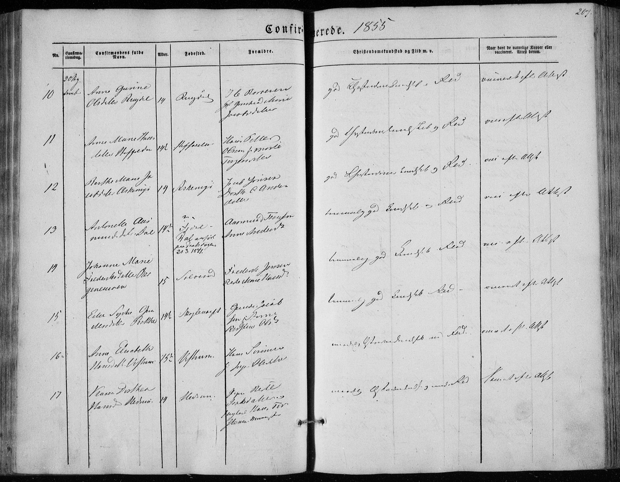 Hedrum kirkebøker, AV/SAKO-A-344/F/Fa/L0006: Parish register (official) no. I 6, 1849-1857, p. 207