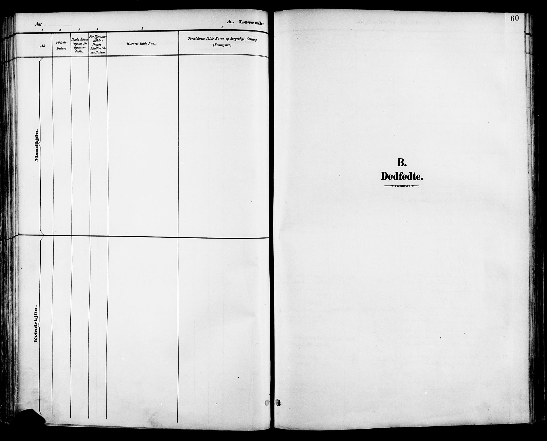 Nannestad prestekontor Kirkebøker, SAO/A-10414a/F/Fa/L0015: Parish register (official) no. I 15, 1891-1905, p. 60