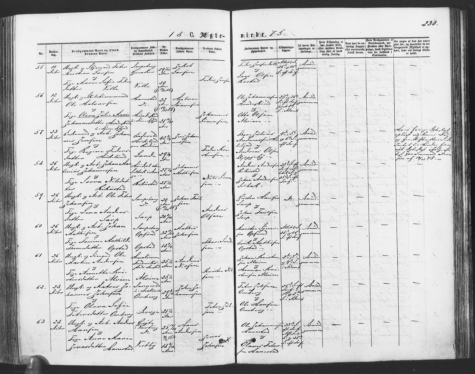 Tune prestekontor Kirkebøker, SAO/A-2007/F/Fa/L0016: Parish register (official) no. 16, 1874-1877, p. 230