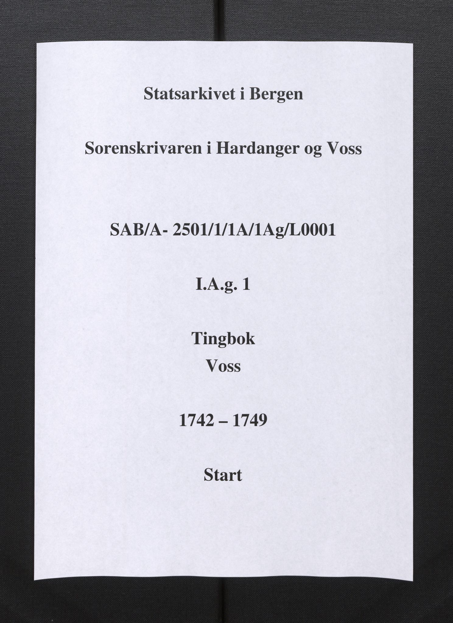 Hardanger og Voss sorenskriveri, SAB/A-2501/1/1A/1Ag/L0001: Tingbok for Voss, 1742-1749
