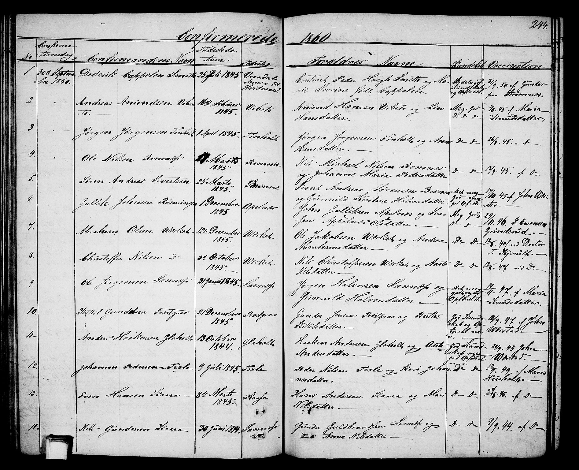 Holla kirkebøker, SAKO/A-272/G/Ga/L0003: Parish register (copy) no. I 3, 1849-1866, p. 244