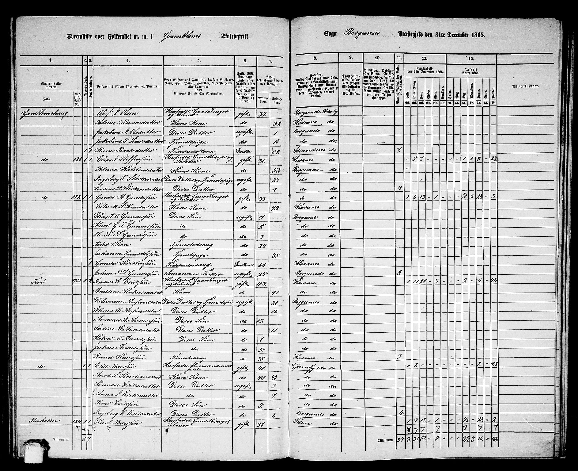 RA, 1865 census for Borgund, 1865, p. 236