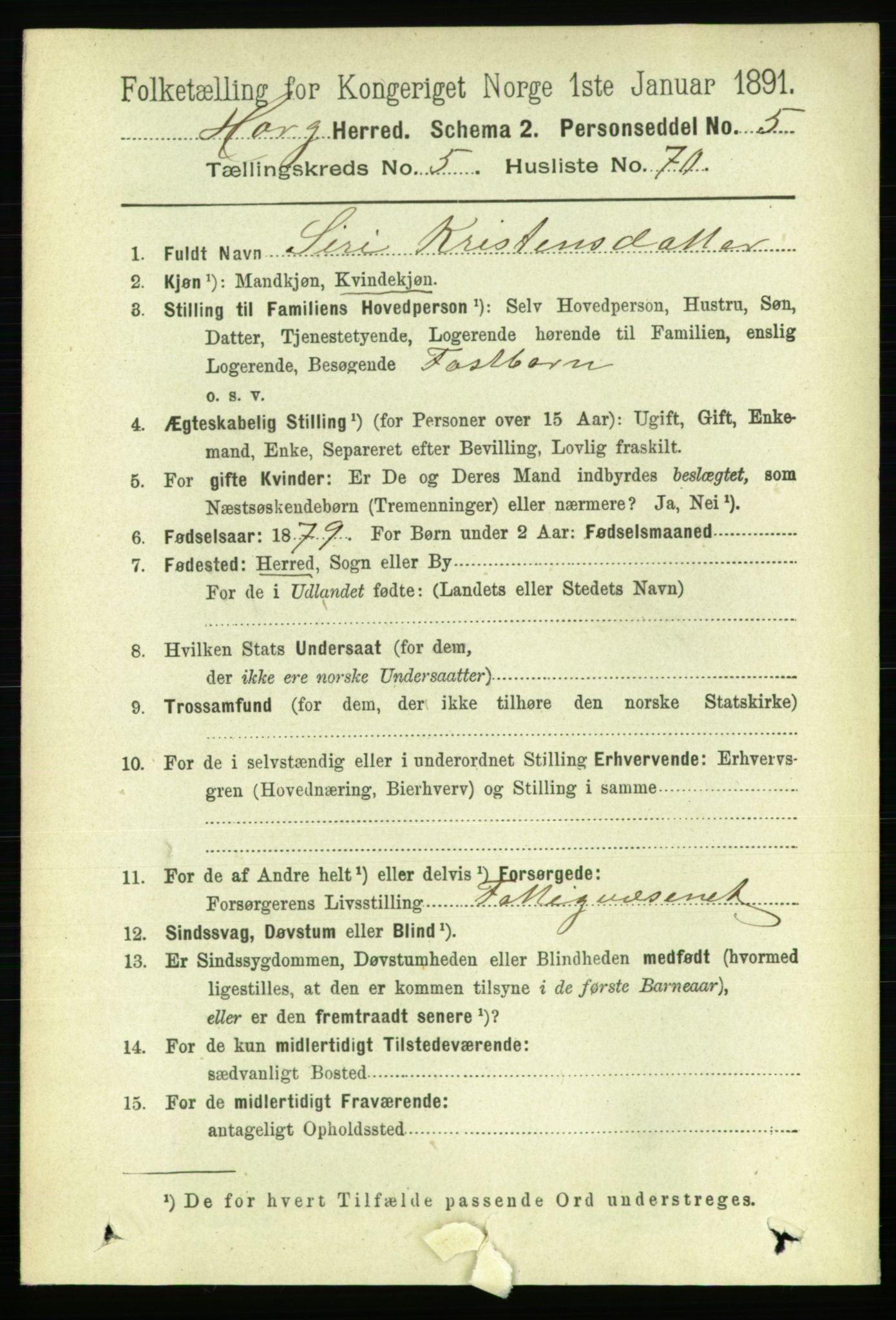 RA, 1891 census for 1650 Horg, 1891, p. 2345