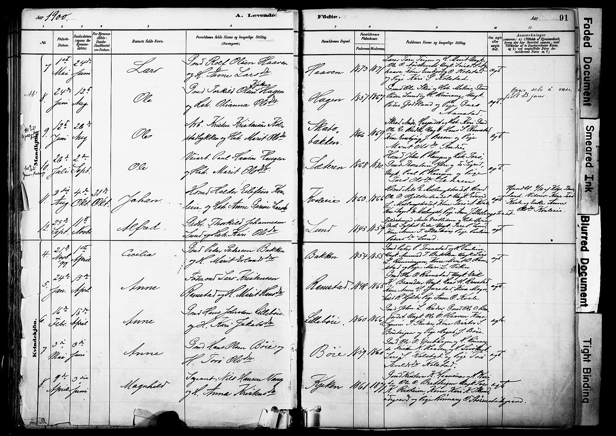 Skjåk prestekontor, SAH/PREST-072/H/Ha/Haa/L0003: Parish register (official) no. 3, 1880-1907, p. 91