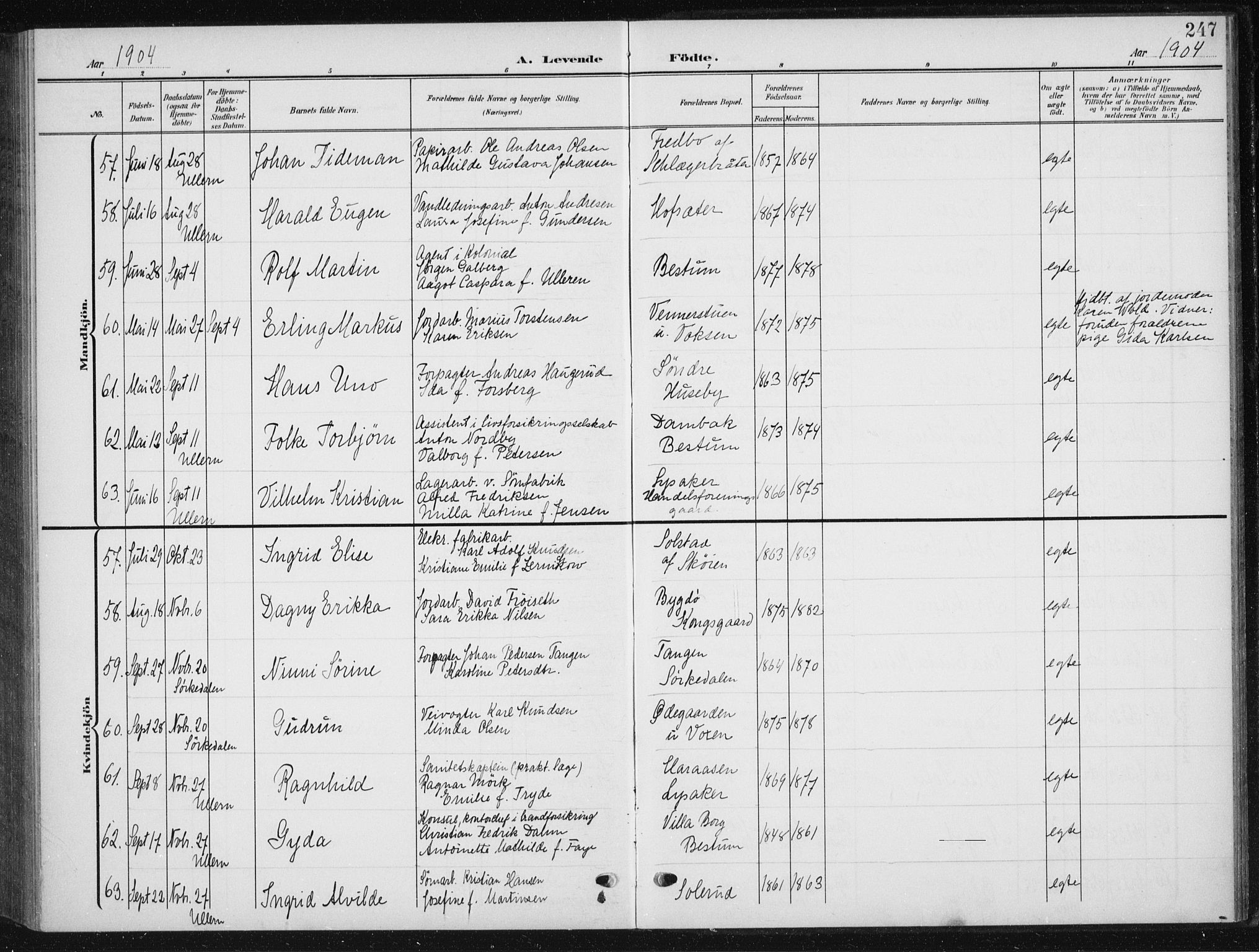 Vestre Aker prestekontor Kirkebøker, AV/SAO-A-10025/F/Fb/L0001: Parish register (official) no. II 1, 1880-1906, p. 247