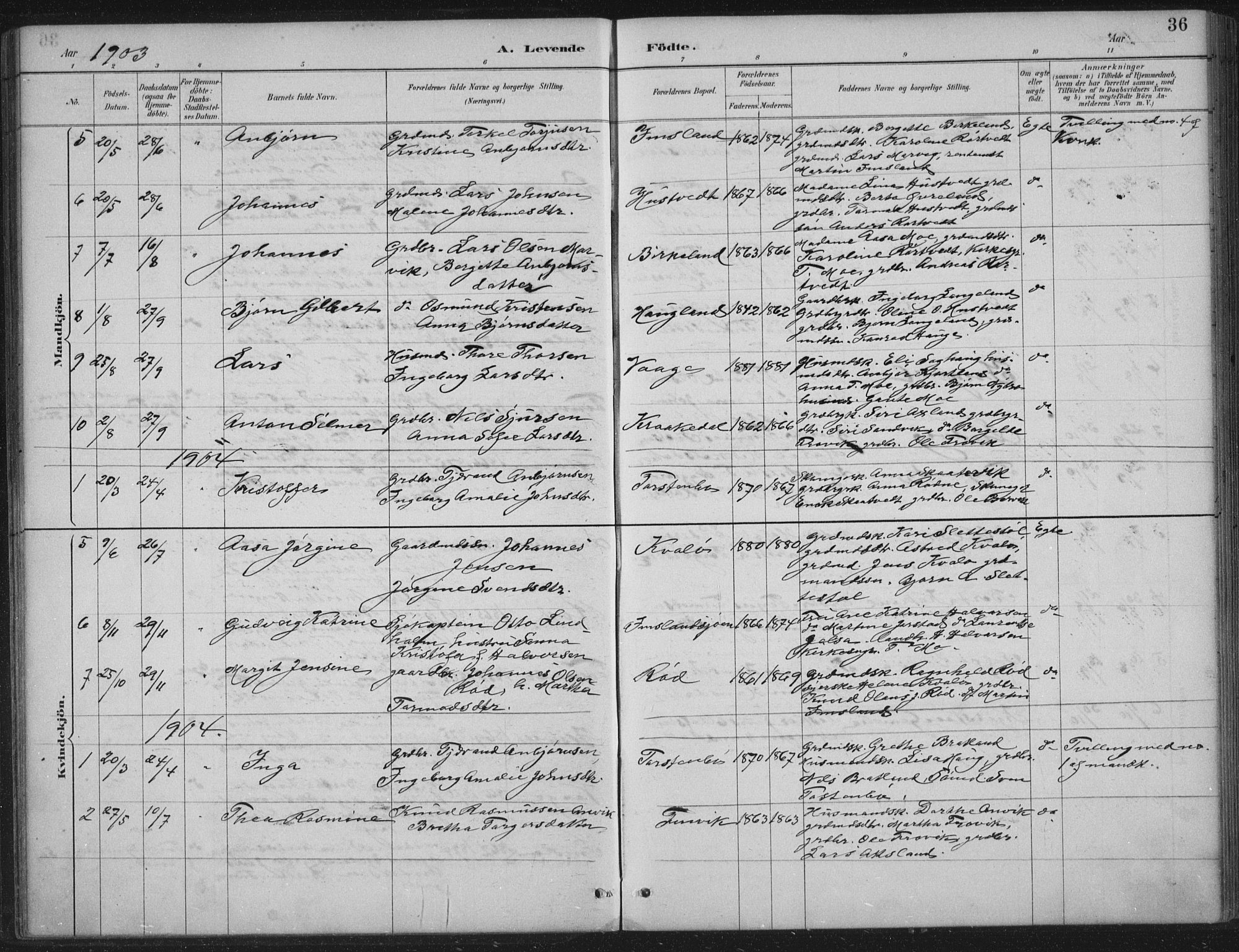 Vikedal sokneprestkontor, AV/SAST-A-101840/01/IV: Parish register (official) no. A 12, 1886-1929, p. 36