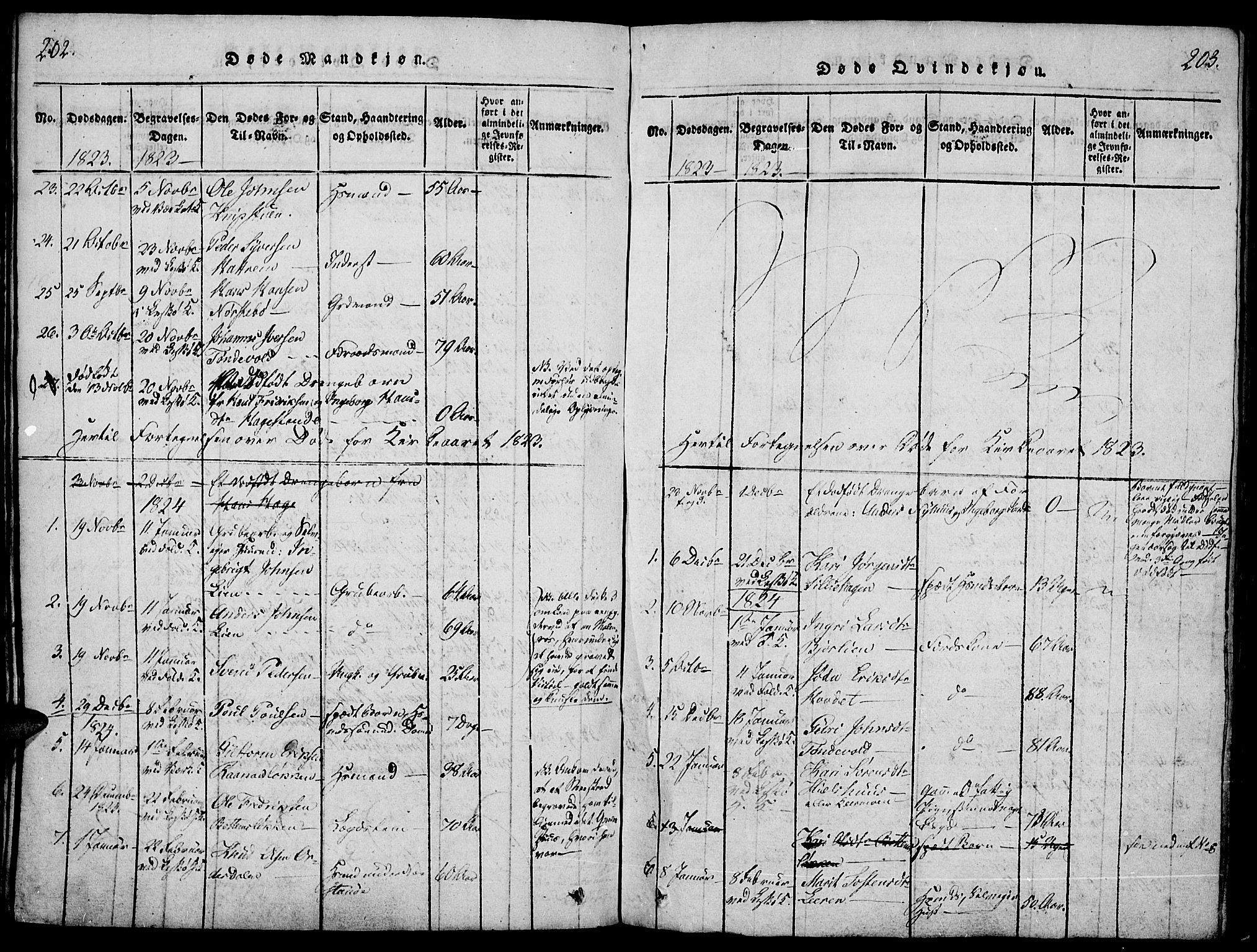 Lesja prestekontor, SAH/PREST-068/H/Ha/Haa/L0004: Parish register (official) no. 4, 1820-1829, p. 202-203