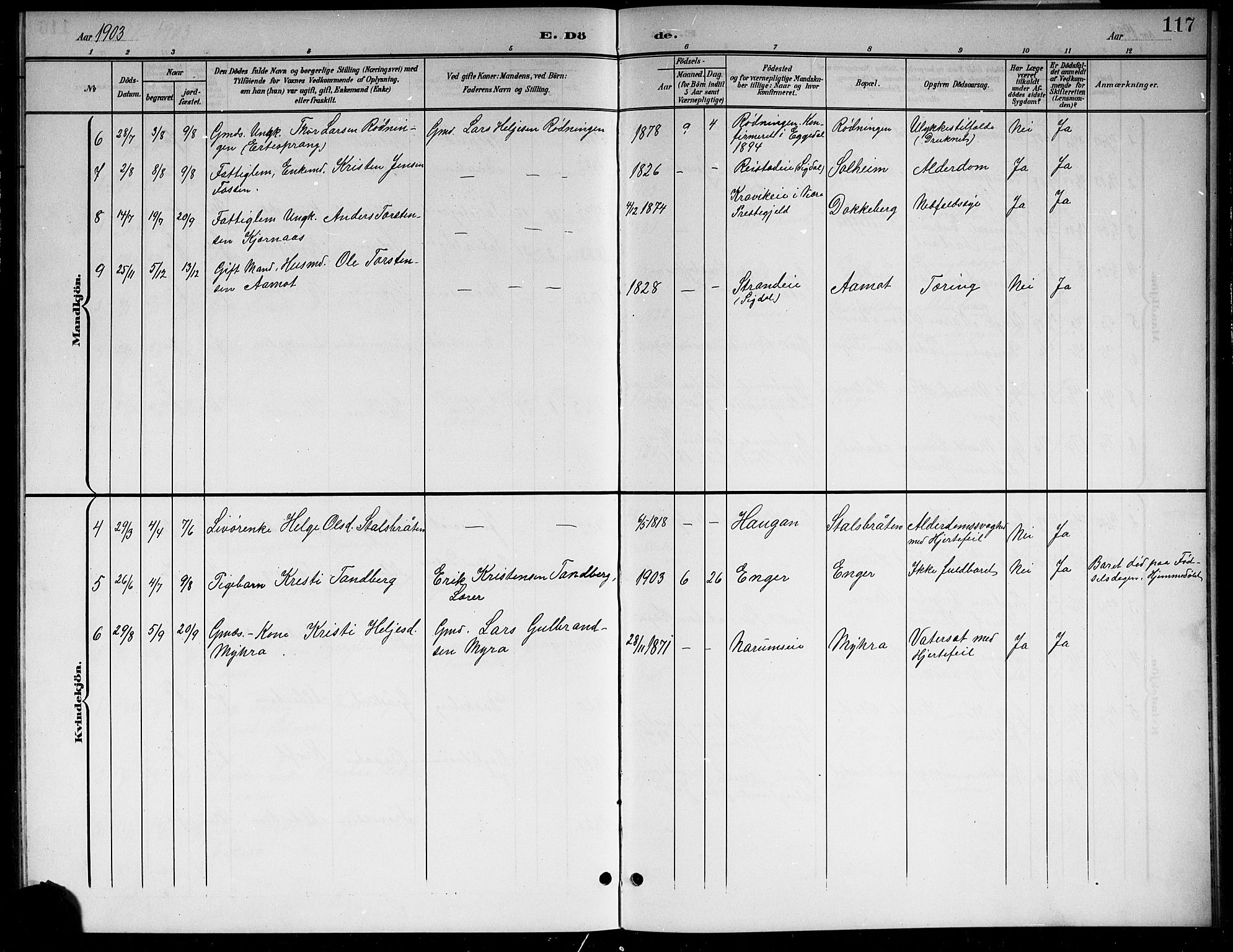 Sigdal kirkebøker, AV/SAKO-A-245/G/Gb/L0003: Parish register (copy) no. II 3, 1901-1916, p. 117