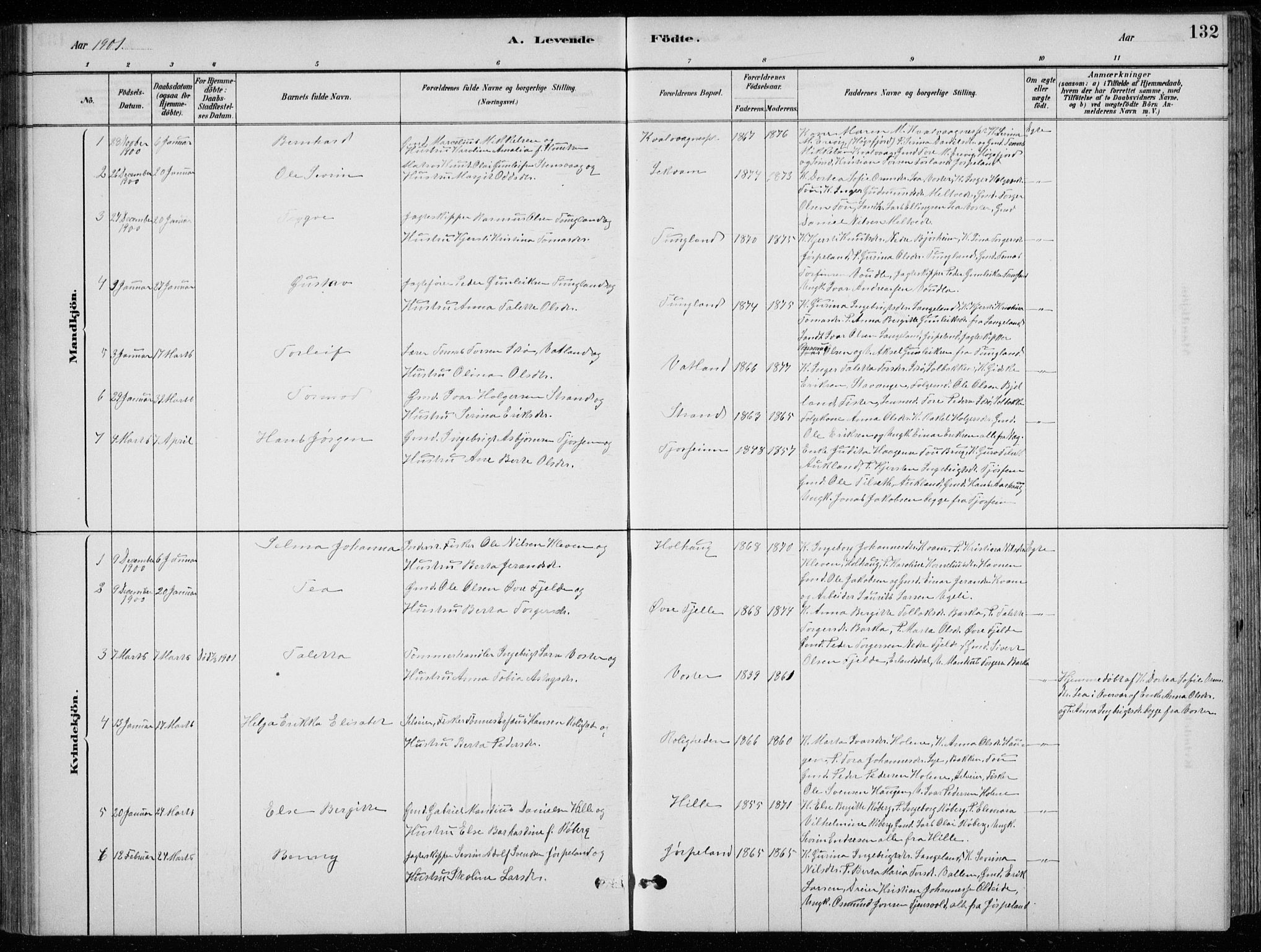Strand sokneprestkontor, SAST/A-101828/H/Ha/Hab/L0004: Parish register (copy) no. B 4, 1878-1903, p. 132
