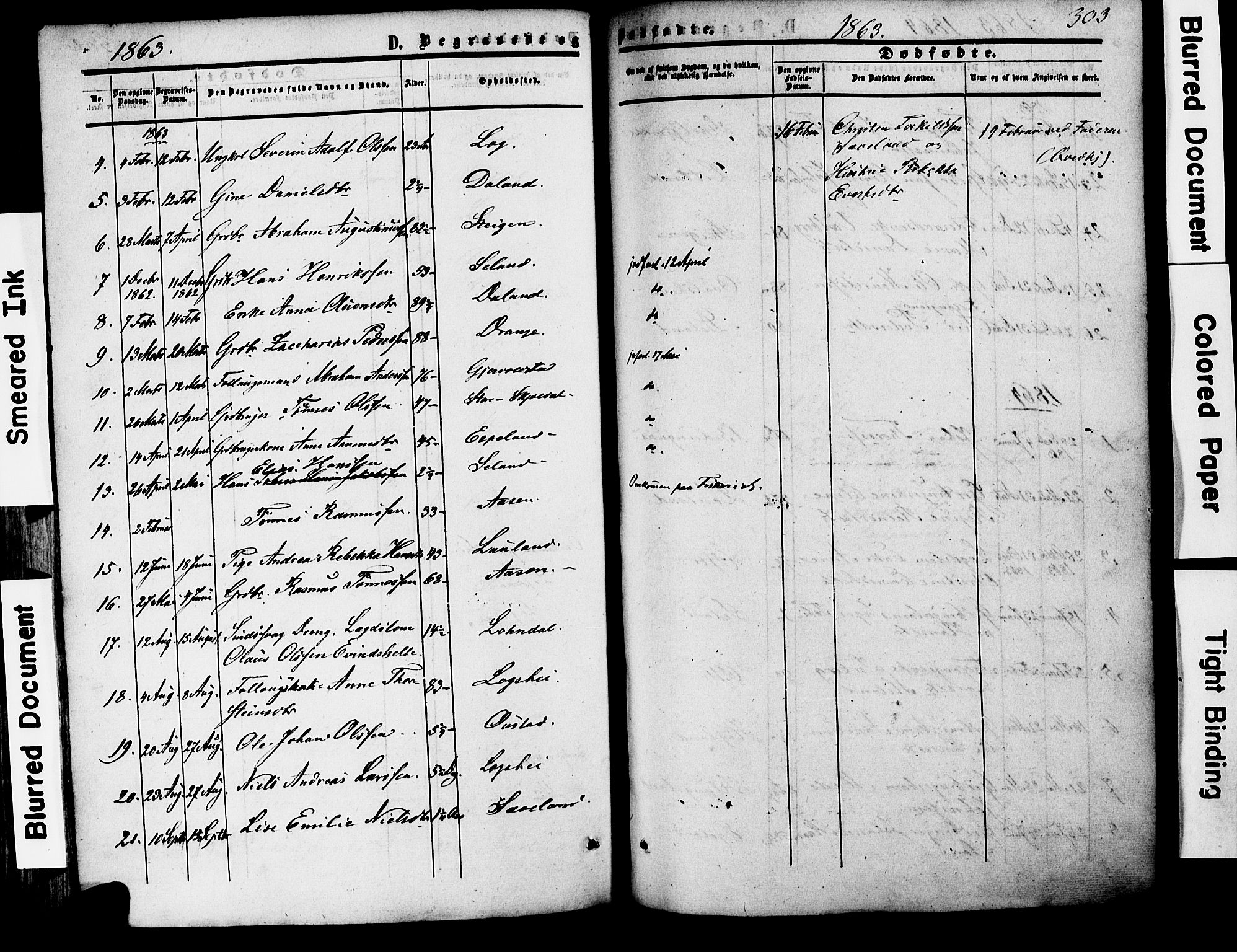 Herad sokneprestkontor, AV/SAK-1111-0018/F/Fa/Faa/L0005: Parish register (official) no. A 5, 1853-1886, p. 303