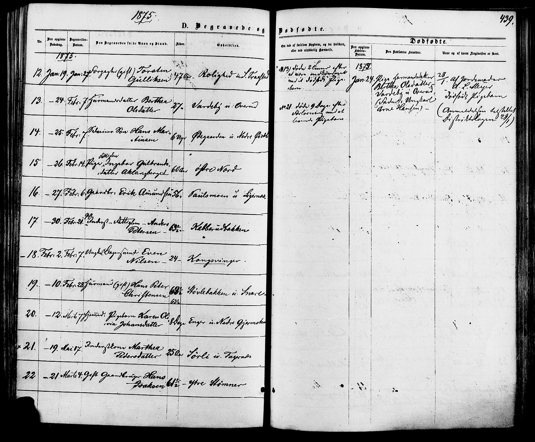 Vinger prestekontor, AV/SAH-PREST-024/H/Ha/Haa/L0012: Parish register (official) no. 12, 1871-1880, p. 439