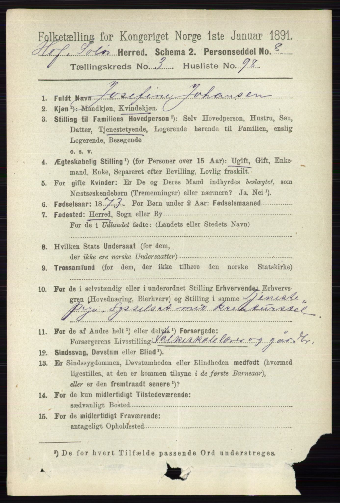 RA, 1891 census for 0424 Hof, 1891, p. 1369