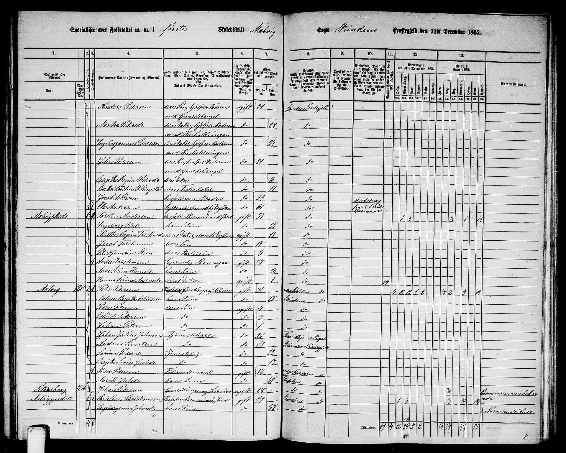 RA, 1865 census for Strinda, 1865, p. 202