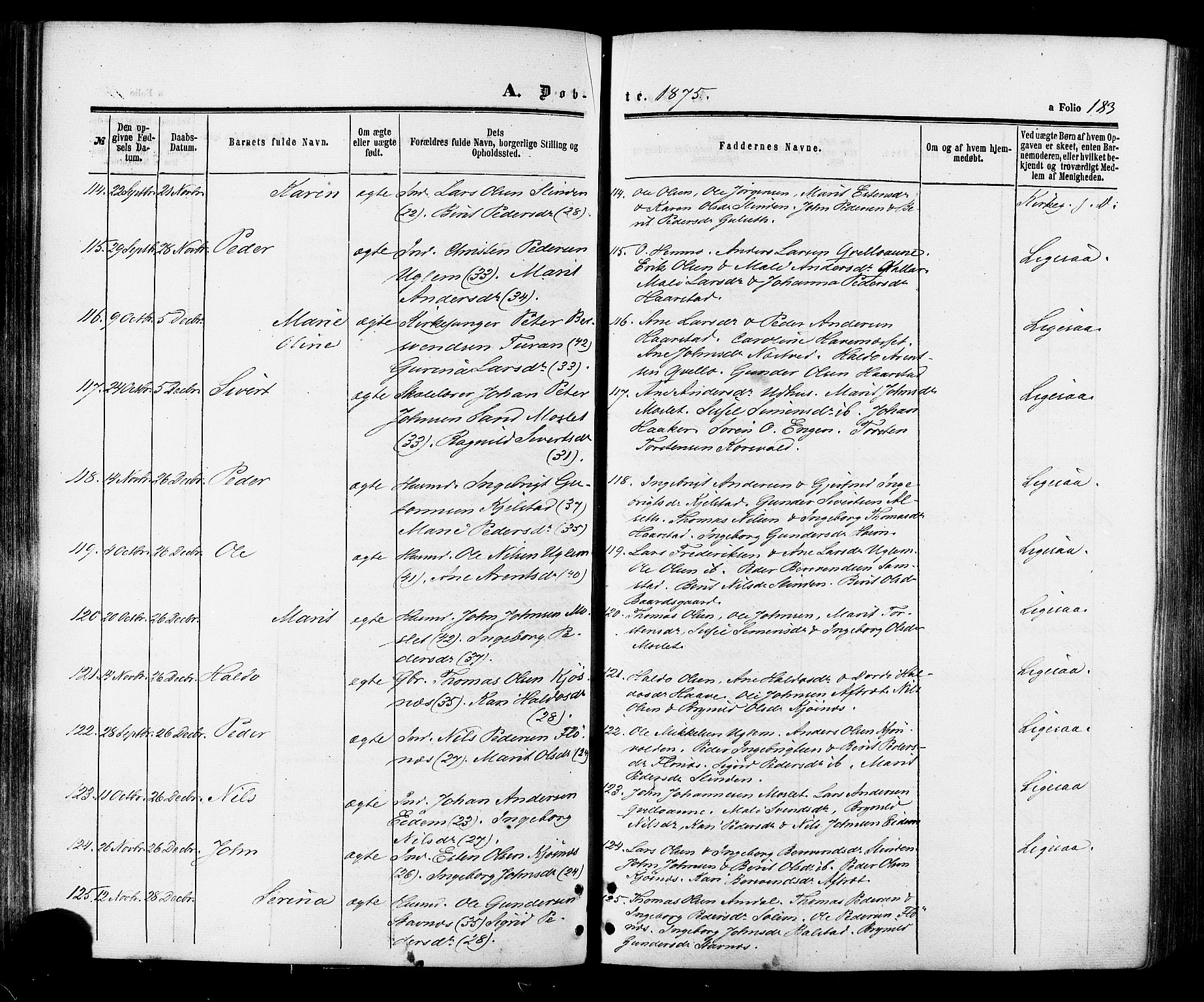 Ministerialprotokoller, klokkerbøker og fødselsregistre - Sør-Trøndelag, SAT/A-1456/695/L1147: Parish register (official) no. 695A07, 1860-1877, p. 183