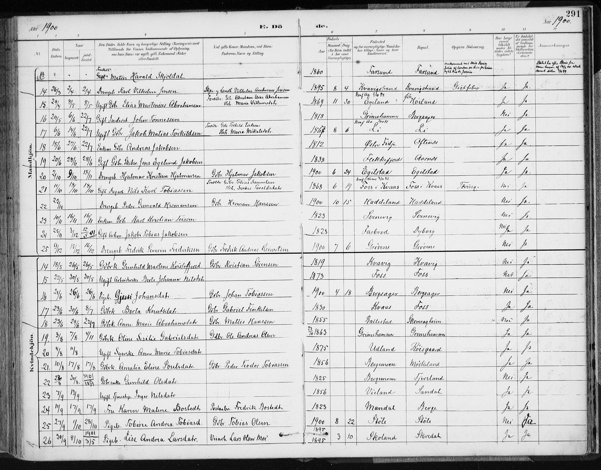Lyngdal sokneprestkontor, AV/SAK-1111-0029/F/Fa/Fac/L0012: Parish register (official) no. A 12, 1894-1918, p. 291