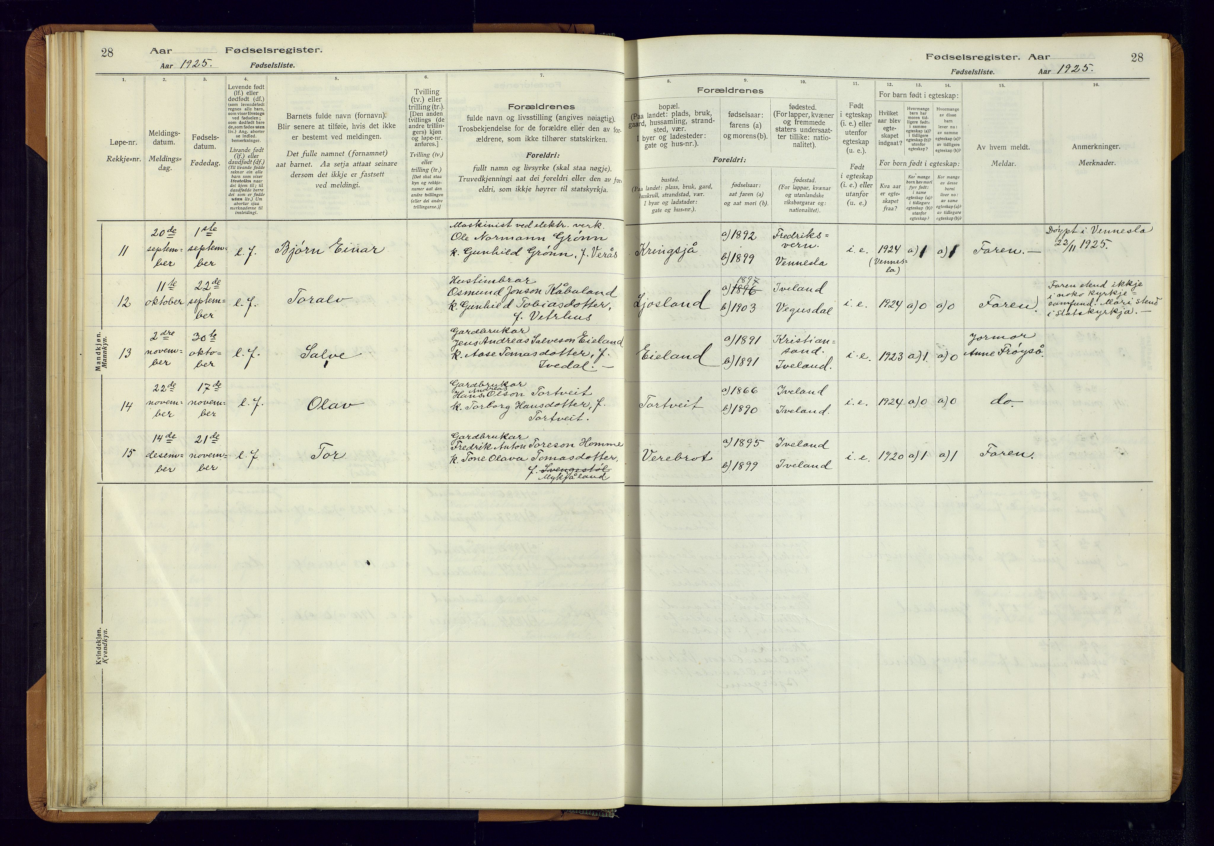 Evje sokneprestkontor, AV/SAK-1111-0008/J/Jc/L0003: Birth register no. II.4.3, 1916-1982, p. 28