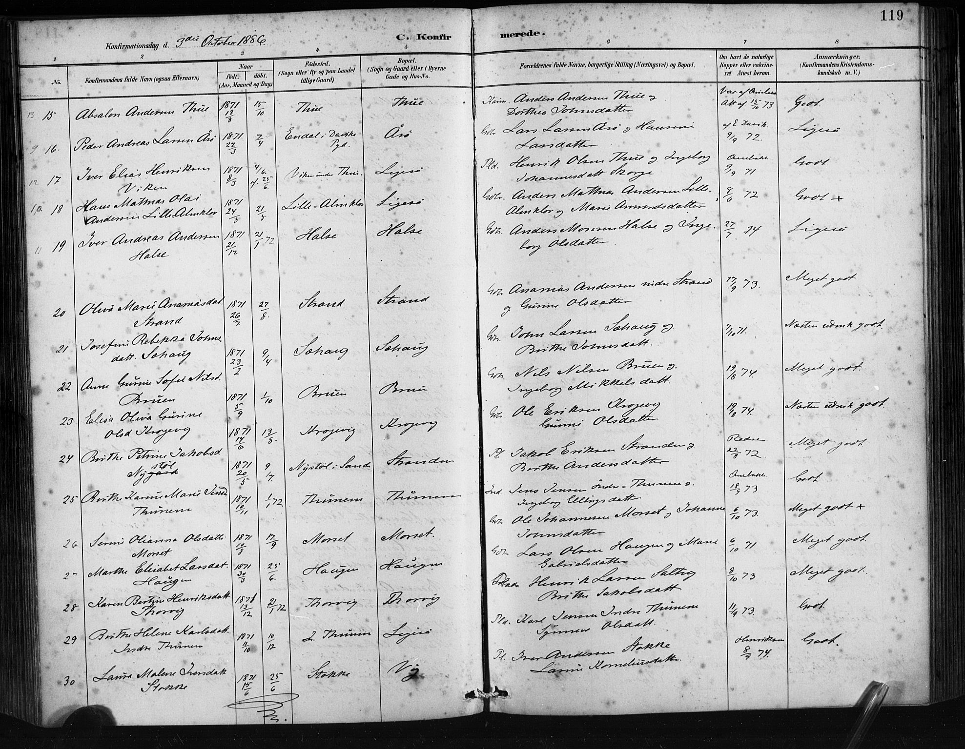 Ministerialprotokoller, klokkerbøker og fødselsregistre - Møre og Romsdal, AV/SAT-A-1454/501/L0008: Parish register (official) no. 501A08, 1885-1901, p. 119