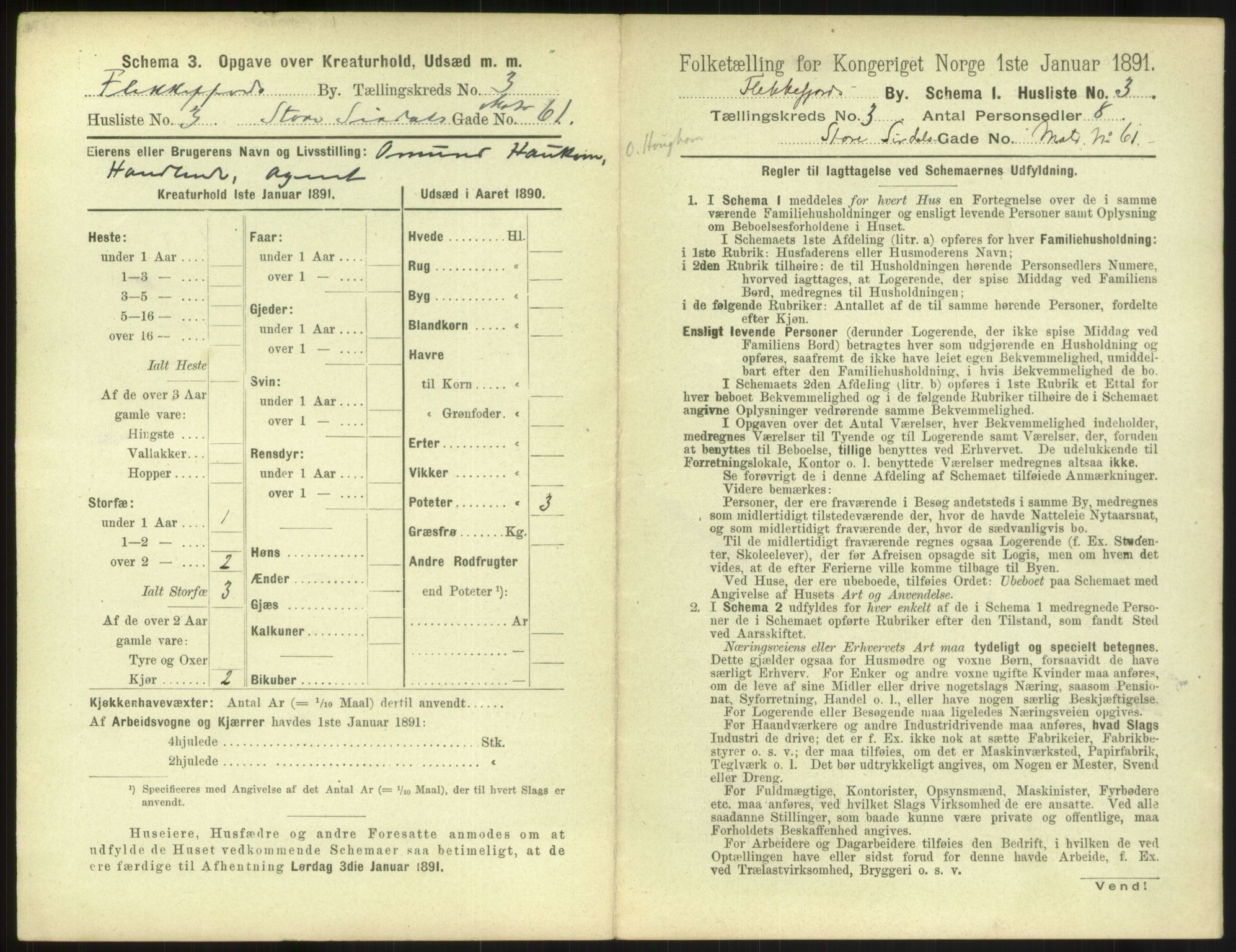 RA, 1891 census for 1004 Flekkefjord, 1891, p. 142