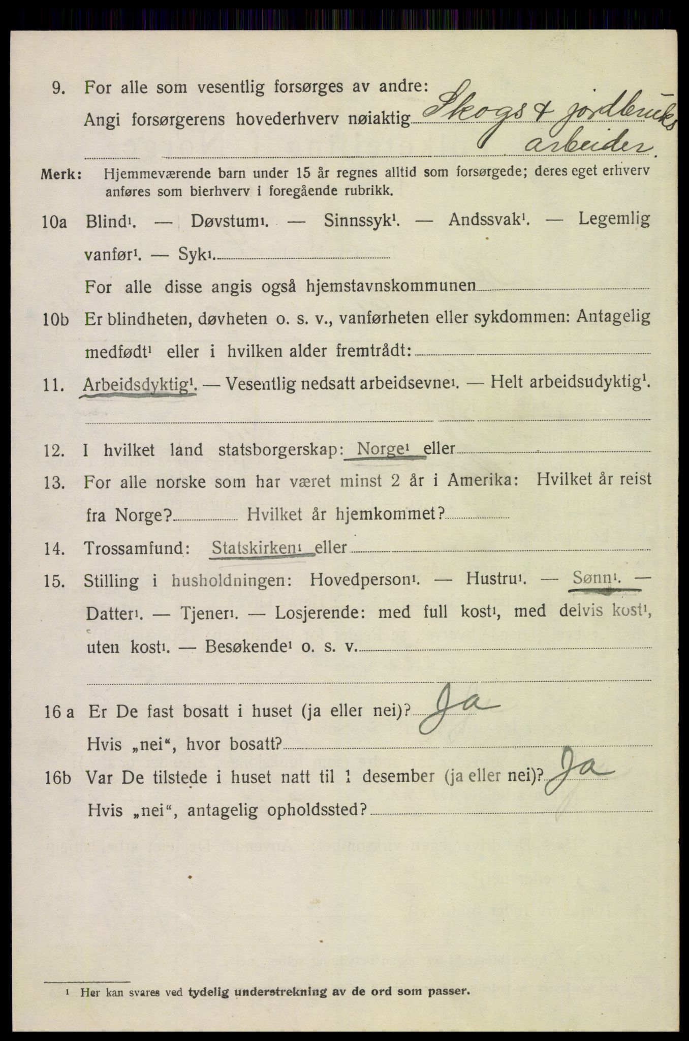 SAH, 1920 census for Alvdal, 1920, p. 2971