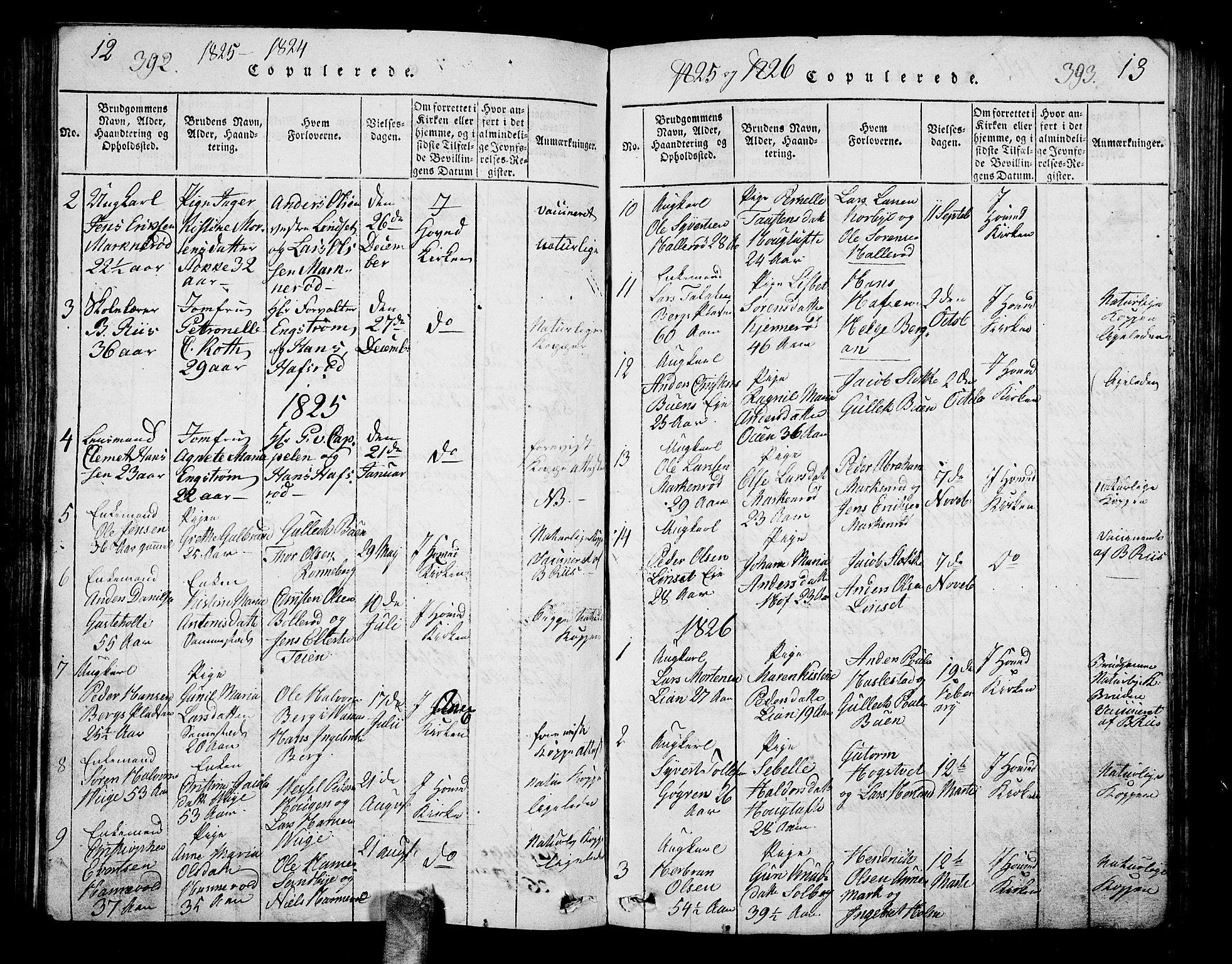 Hof kirkebøker, AV/SAKO-A-64/G/Ga/L0001: Parish register (copy) no. I 1, 1814-1844, p. 392-393