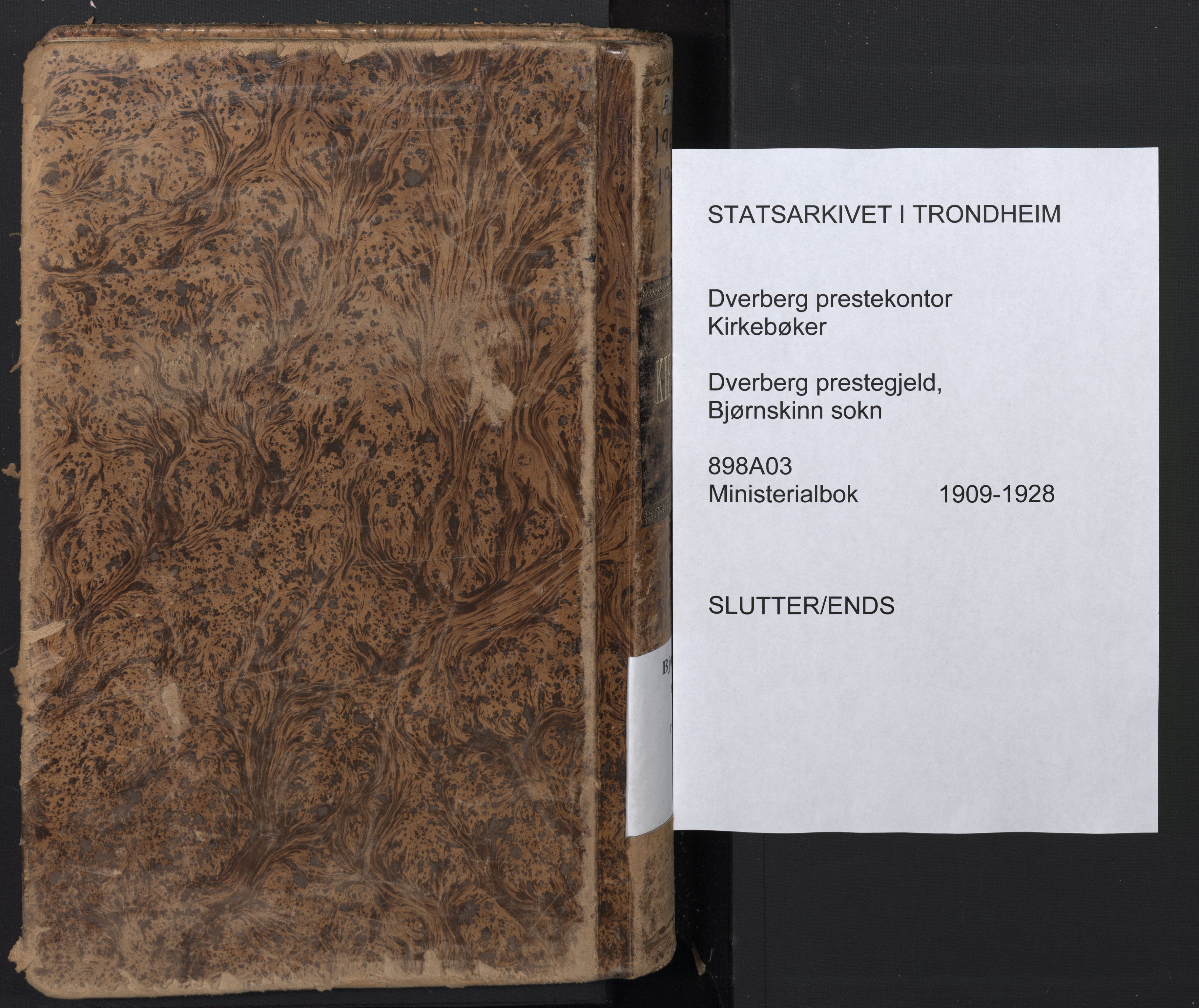 Ministerialprotokoller, klokkerbøker og fødselsregistre - Nordland, AV/SAT-A-1459/898/L1423: Parish register (official) no. 898A03, 1909-1928