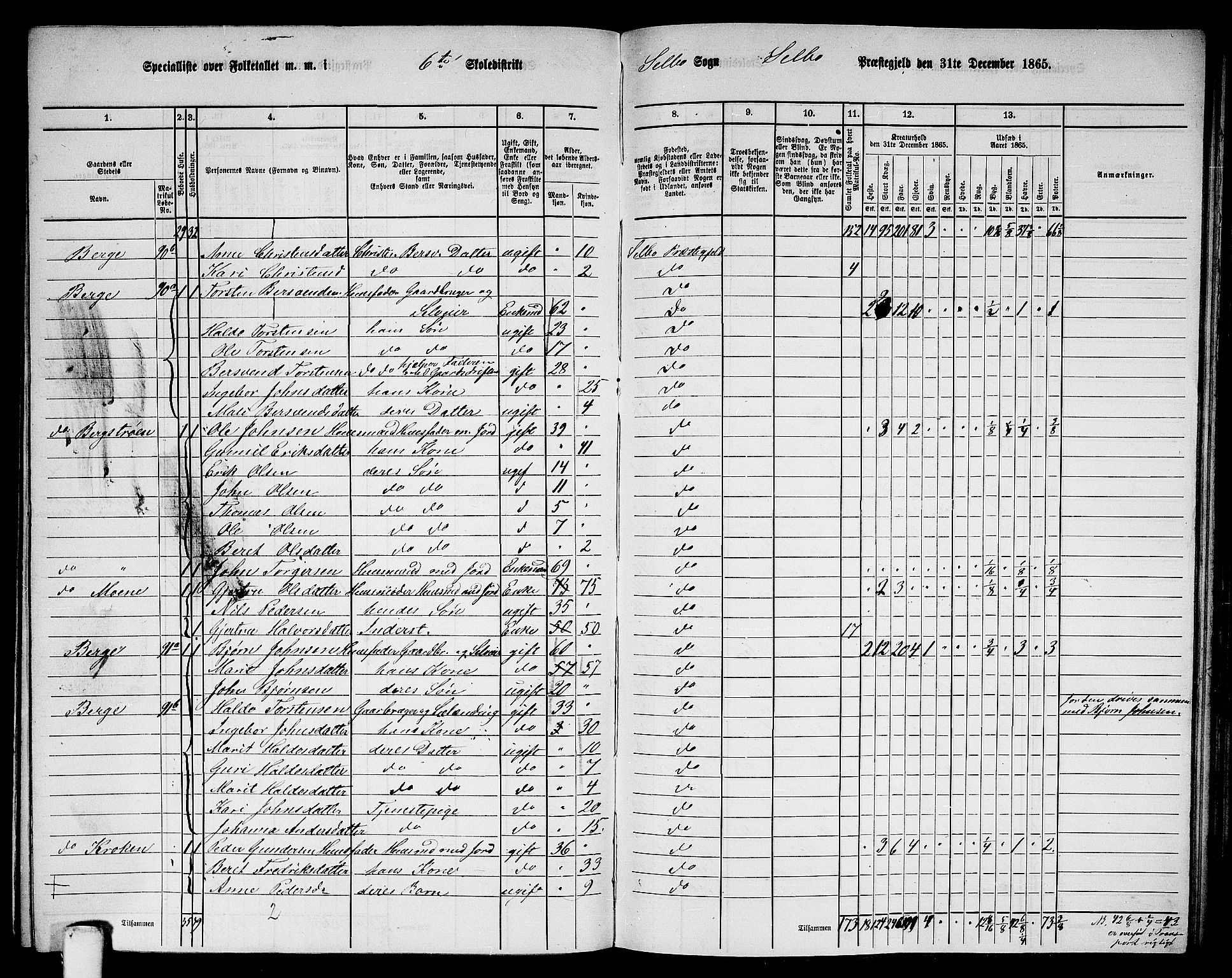 RA, 1865 census for Selbu, 1865, p. 109