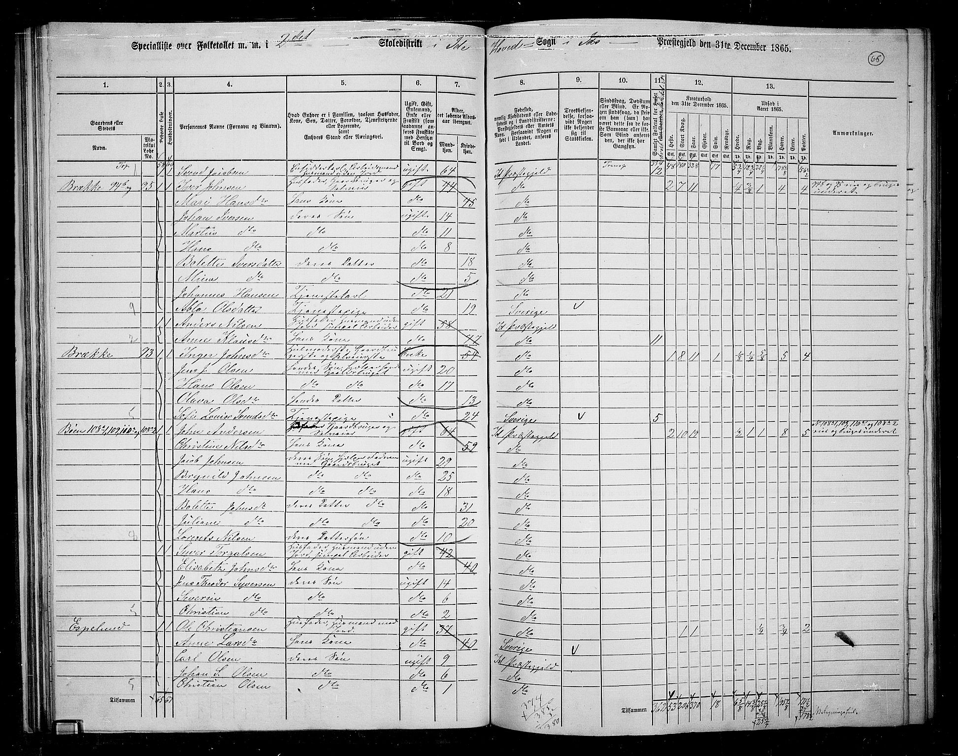 RA, 1865 census for Idd, 1865, p. 57