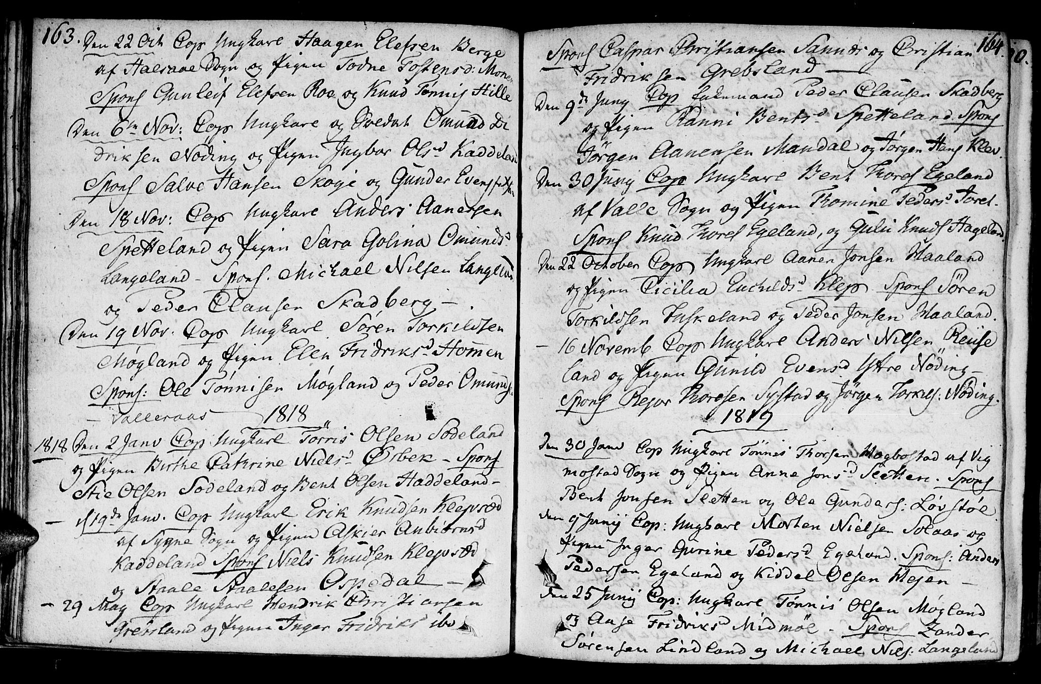 Holum sokneprestkontor, AV/SAK-1111-0022/F/Fa/Faa/L0003: Parish register (official) no. A 3, 1780-1821, p. 163-164