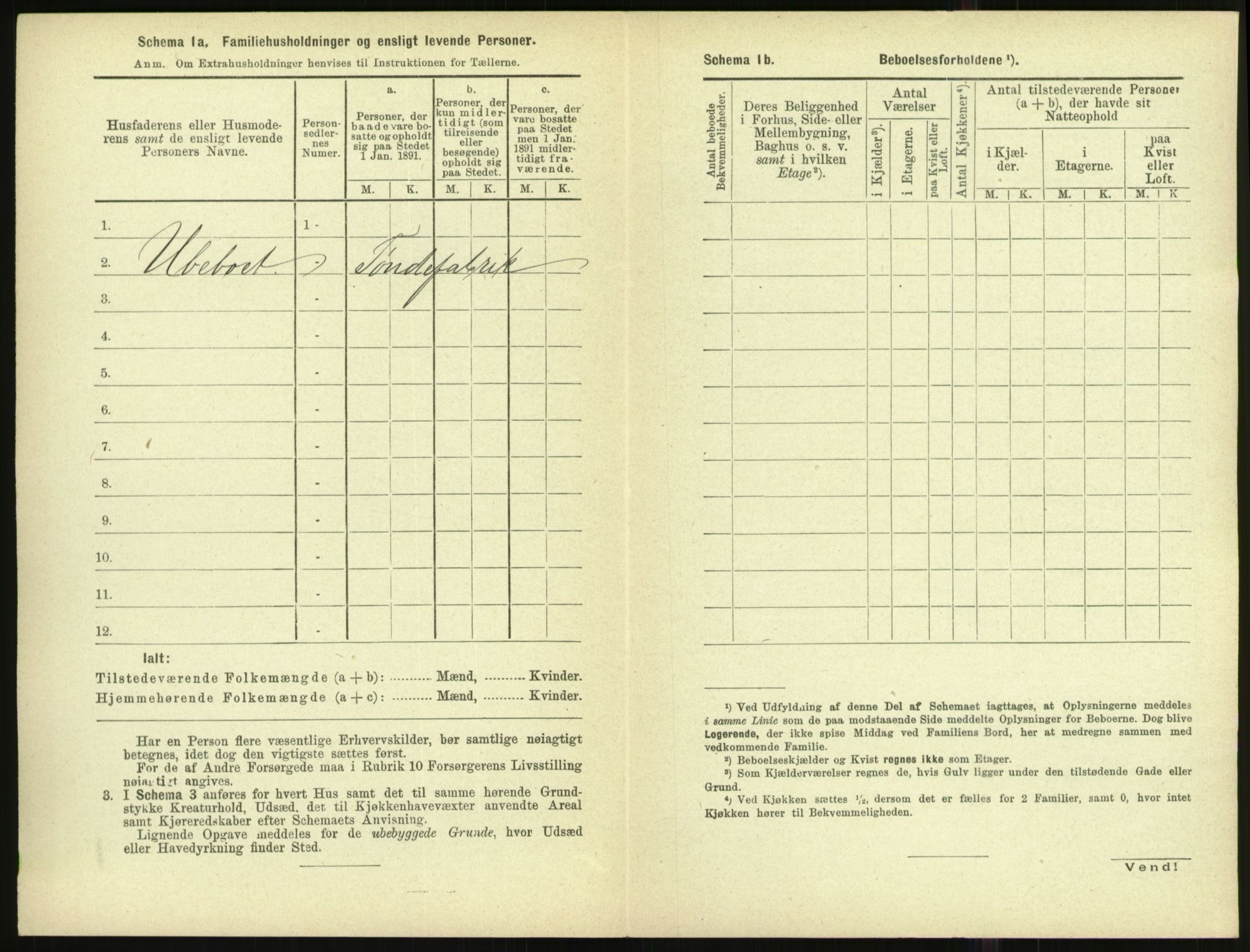 RA, 1891 census for 1002 Mandal, 1891, p. 1252