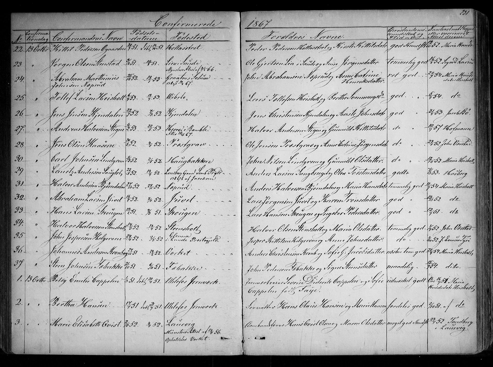 Holla kirkebøker, SAKO/A-272/G/Ga/L0004: Parish register (copy) no. I 4, 1867-1890, p. 231