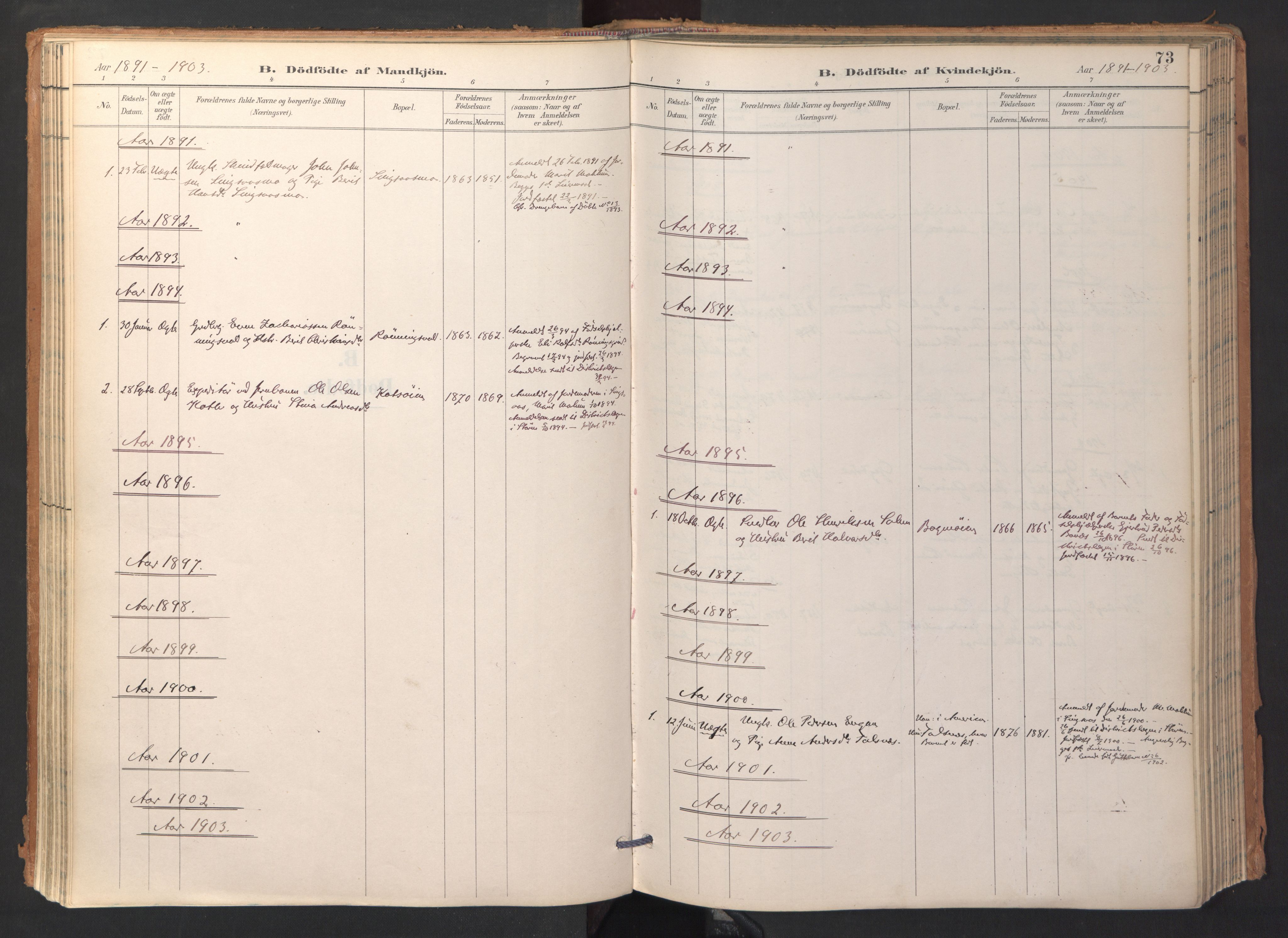 Ministerialprotokoller, klokkerbøker og fødselsregistre - Sør-Trøndelag, SAT/A-1456/688/L1025: Parish register (official) no. 688A02, 1891-1909, p. 73