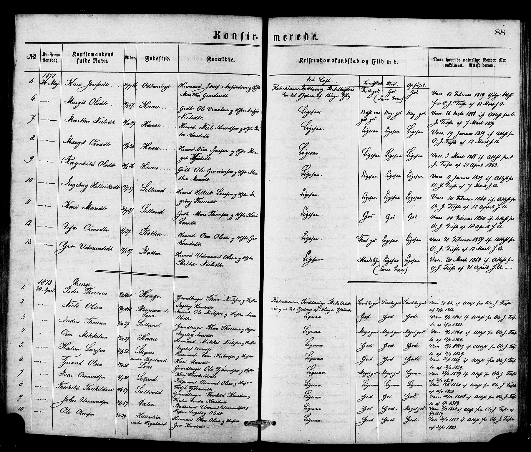 Røldal sokneprestembete, SAB/A-100247: Parish register (official) no. A 4, 1870-1886, p. 88