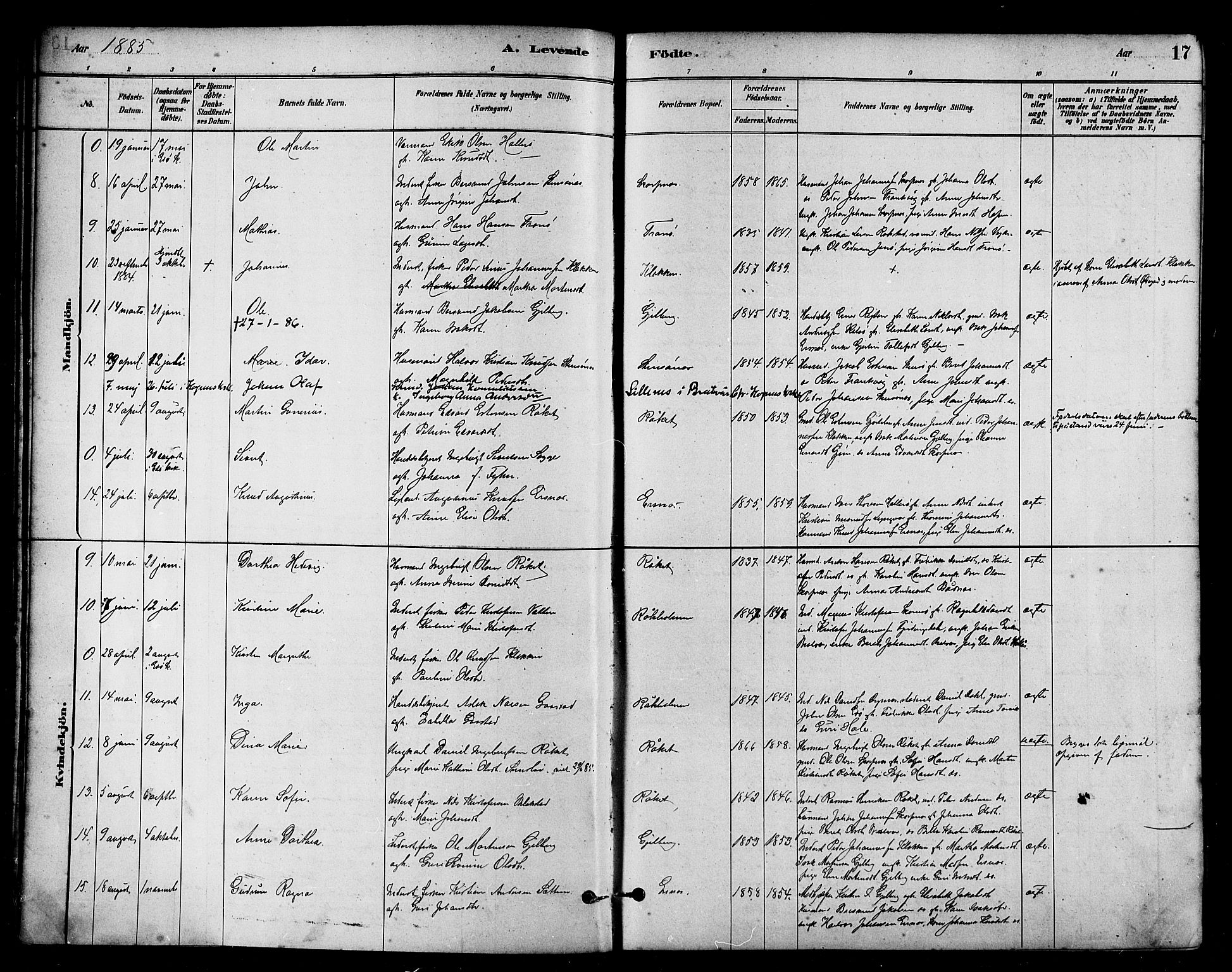 Ministerialprotokoller, klokkerbøker og fødselsregistre - Møre og Romsdal, SAT/A-1454/582/L0947: Parish register (official) no. 582A01, 1880-1900, p. 17