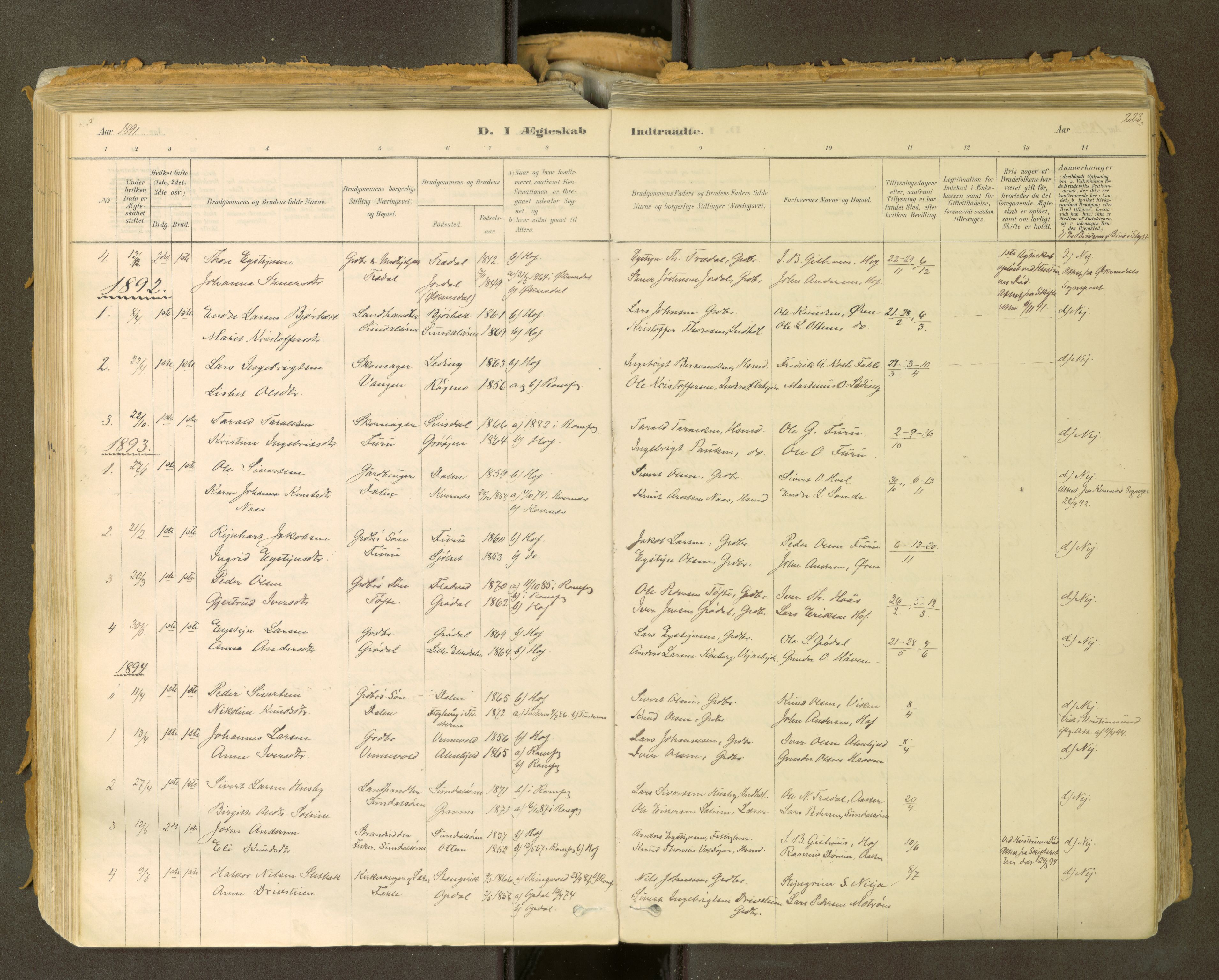 Sunndal sokneprestkontor, SAT/A-1085/1/I/I1/I1a: Parish register (official) no. 2, 1877-1914, p. 223